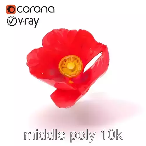 Soft Pink Poppy Flower Sculpture model pack