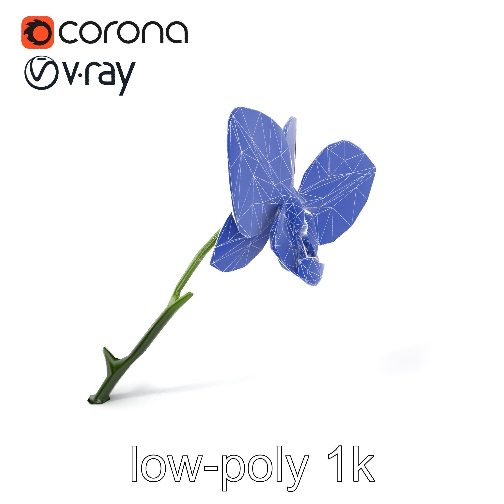 Textured Zygopetalum Orchid Floral model pack Low-poly 3D model_7