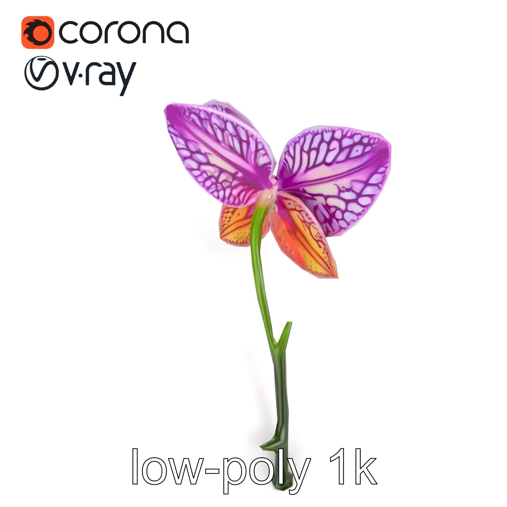 Textured Zygopetalum Orchid Floral model pack Low-poly 3D model_24