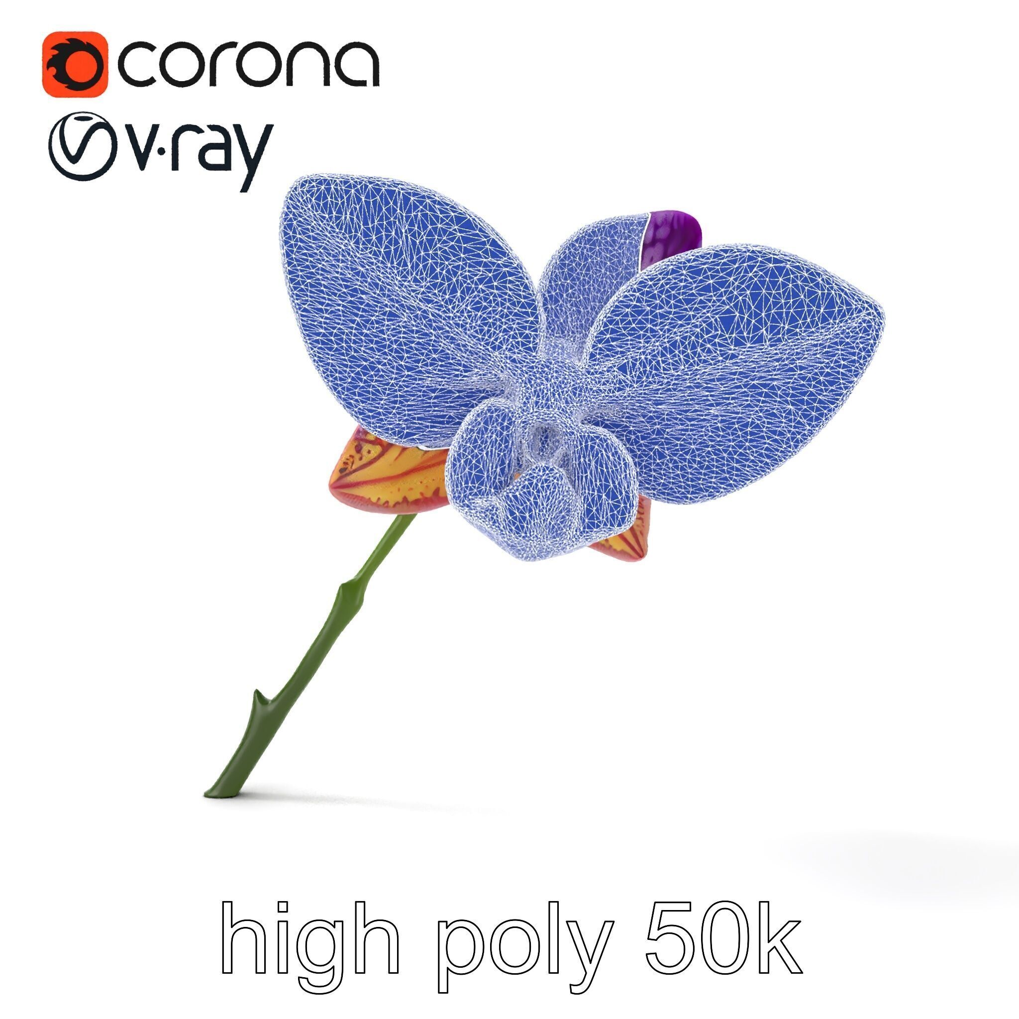 Textured Zygopetalum Orchid Floral model pack Low-poly 3D model_29