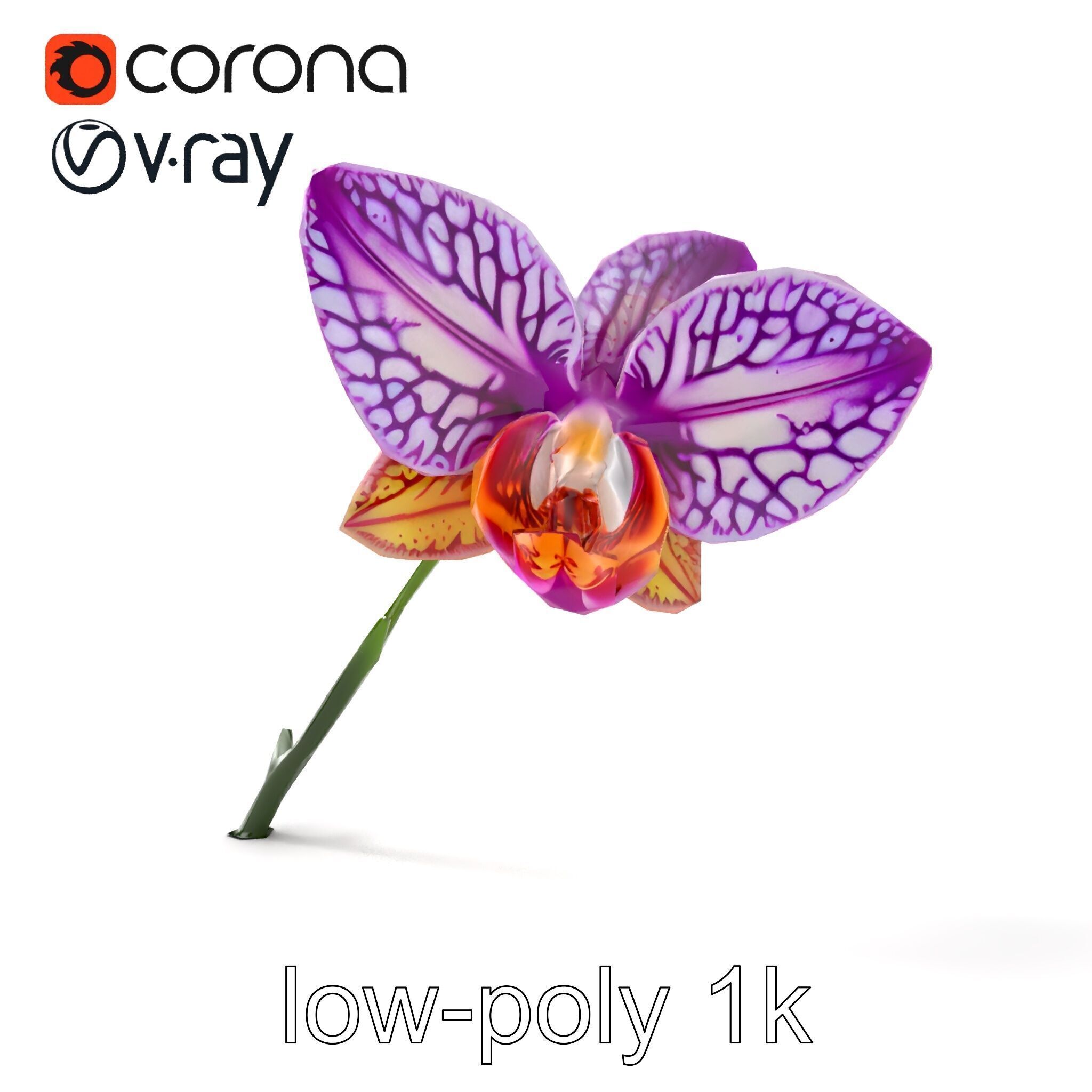 Textured Zygopetalum Orchid Floral model pack Low-poly 3D model_22