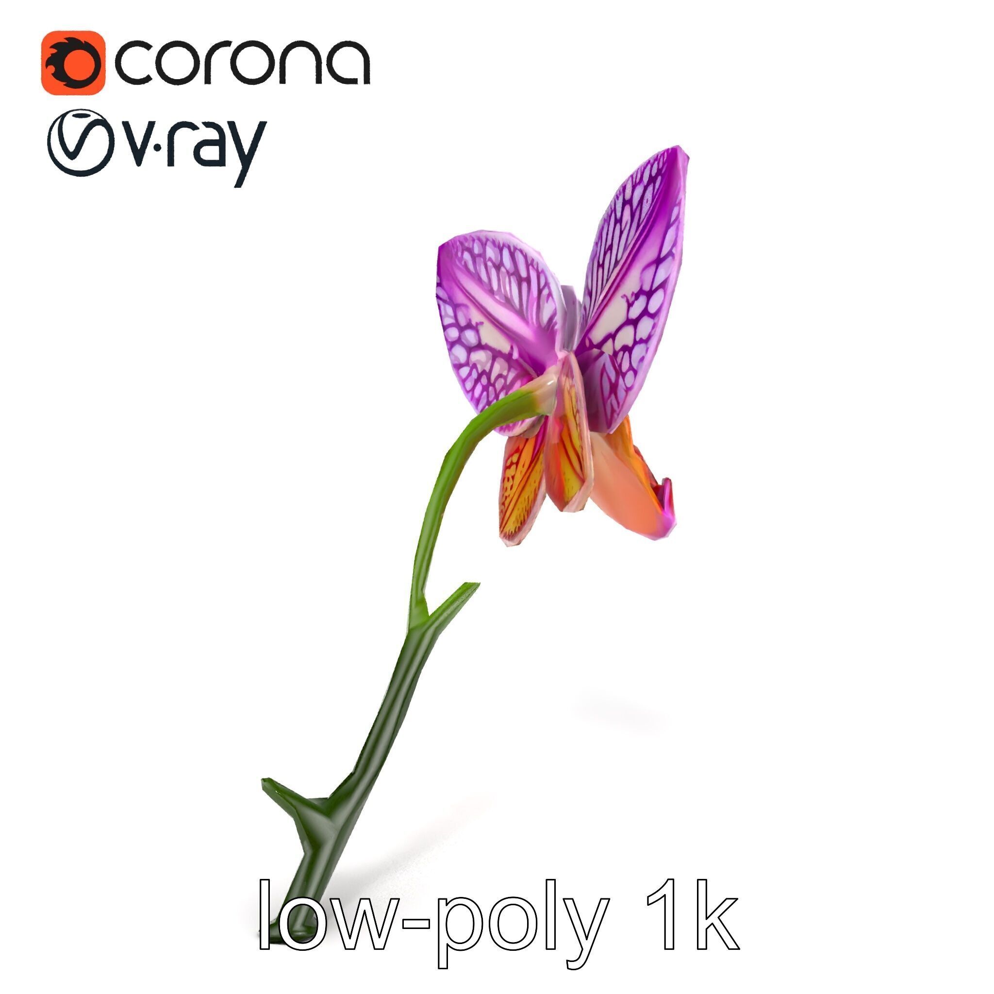 Textured Zygopetalum Orchid Floral model pack Low-poly 3D model_16