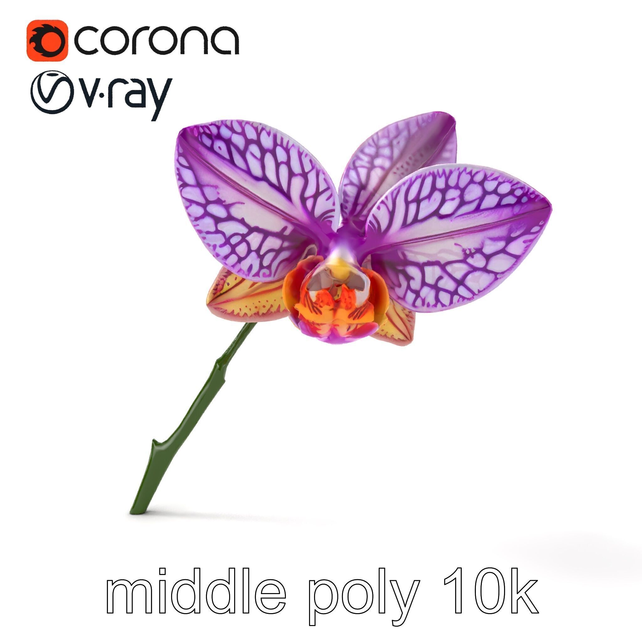 Textured Zygopetalum Orchid Floral model pack Low-poly 3D model_17