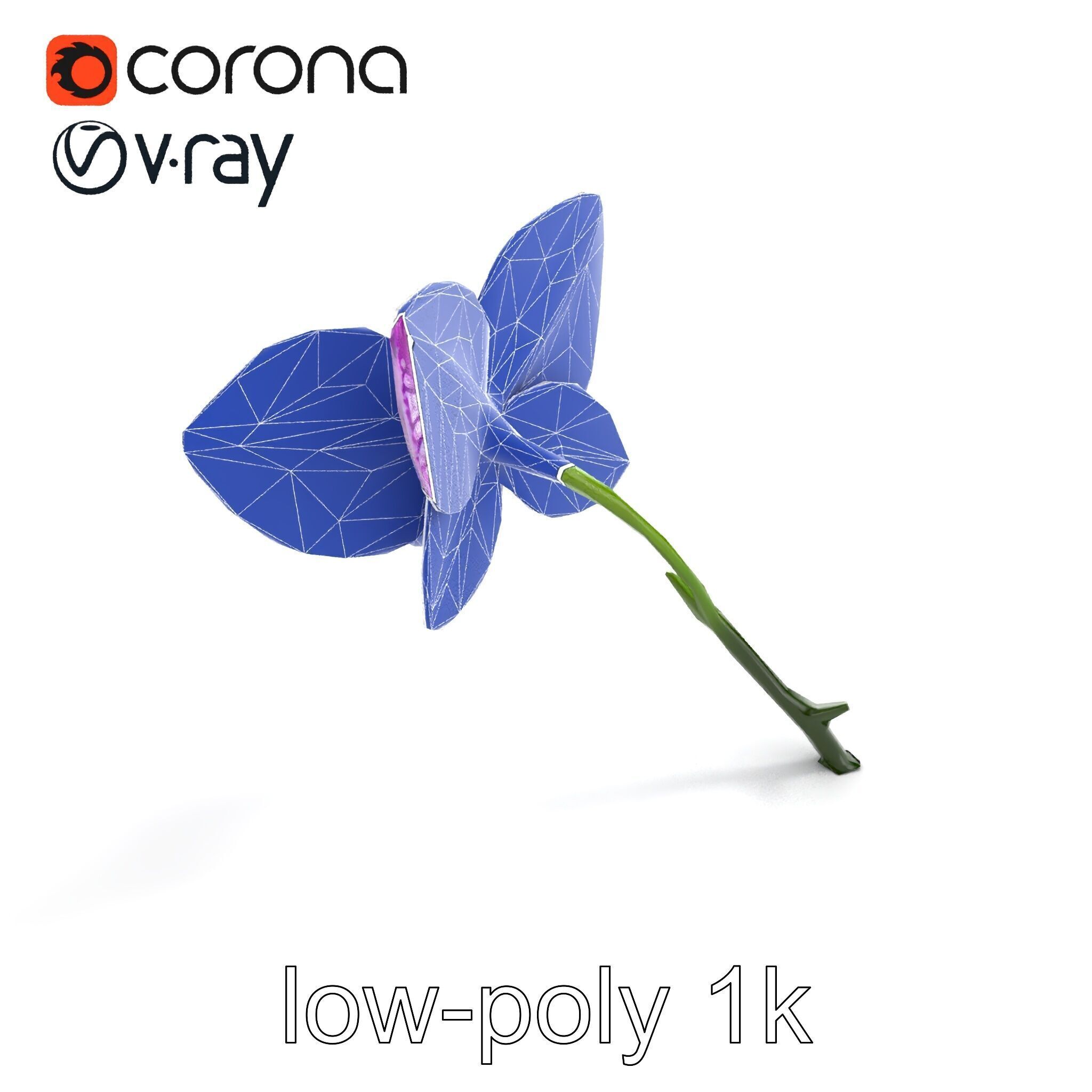 Textured Zygopetalum Orchid Floral model pack Low-poly 3D model_12