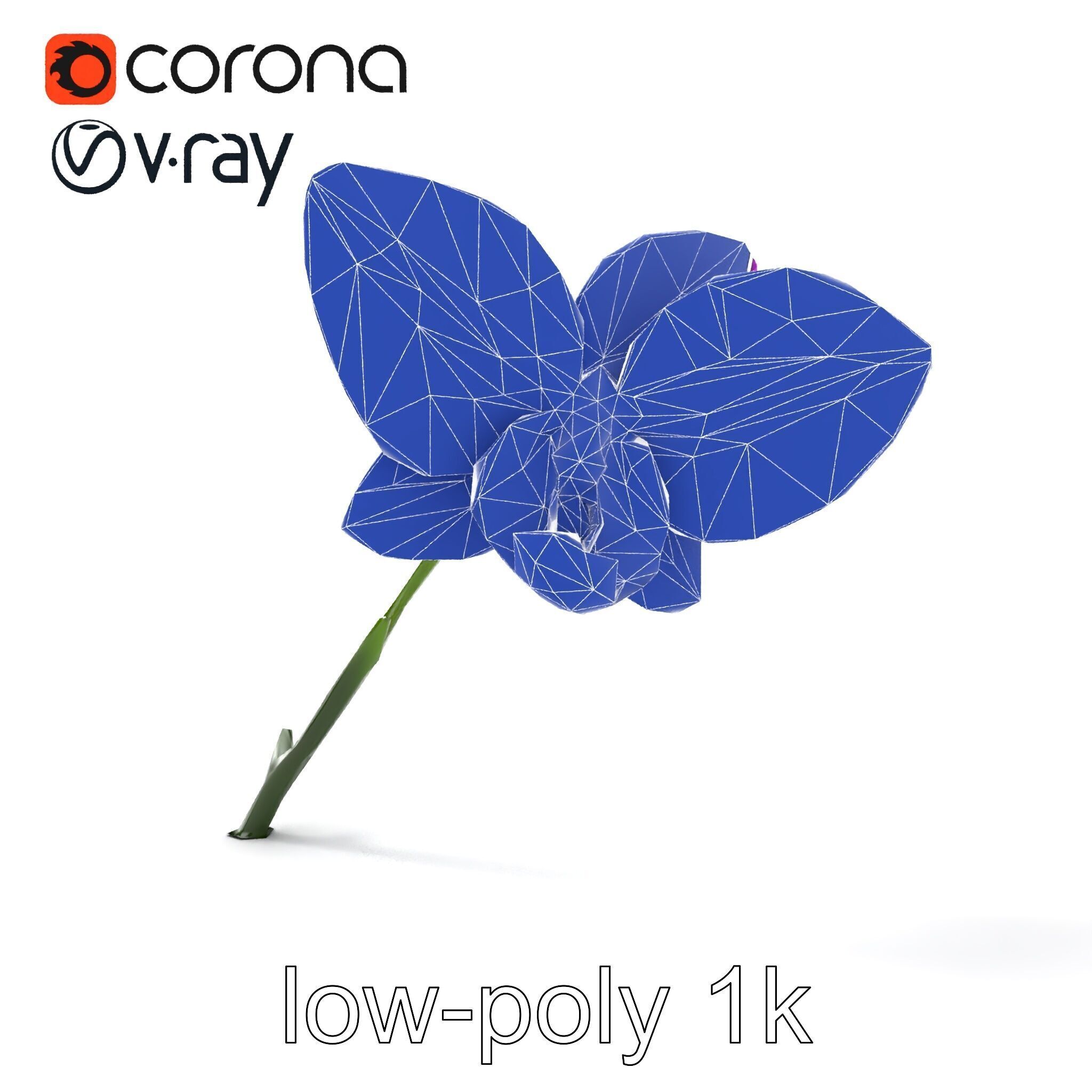 Textured Zygopetalum Orchid Floral model pack Low-poly 3D model_21