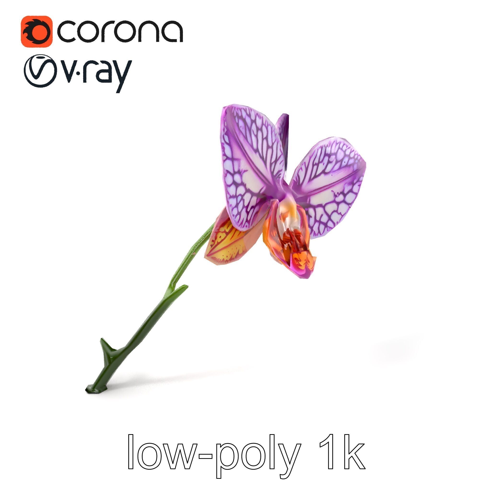 Textured Zygopetalum Orchid Floral model pack Low-poly 3D model_5