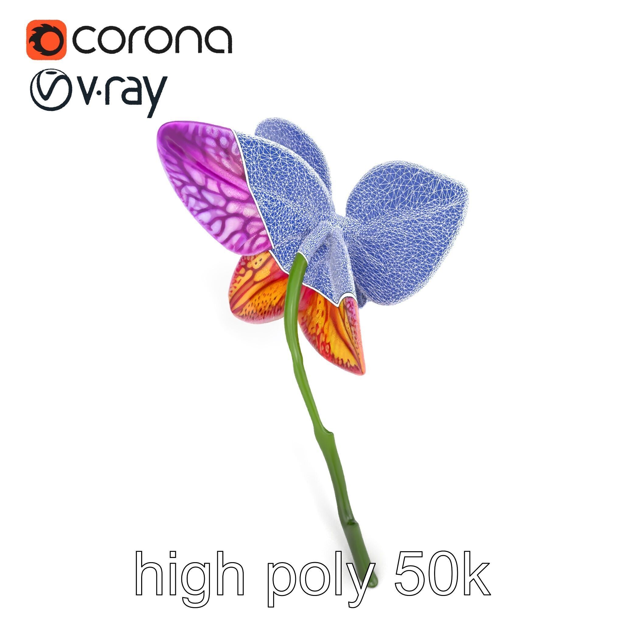 Textured Zygopetalum Orchid Floral model pack Low-poly 3D model_18