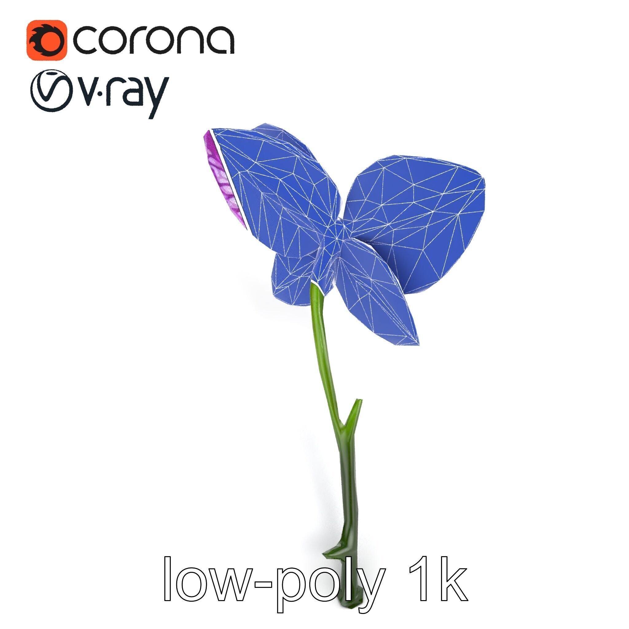 Textured Zygopetalum Orchid Floral model pack Low-poly 3D model_28