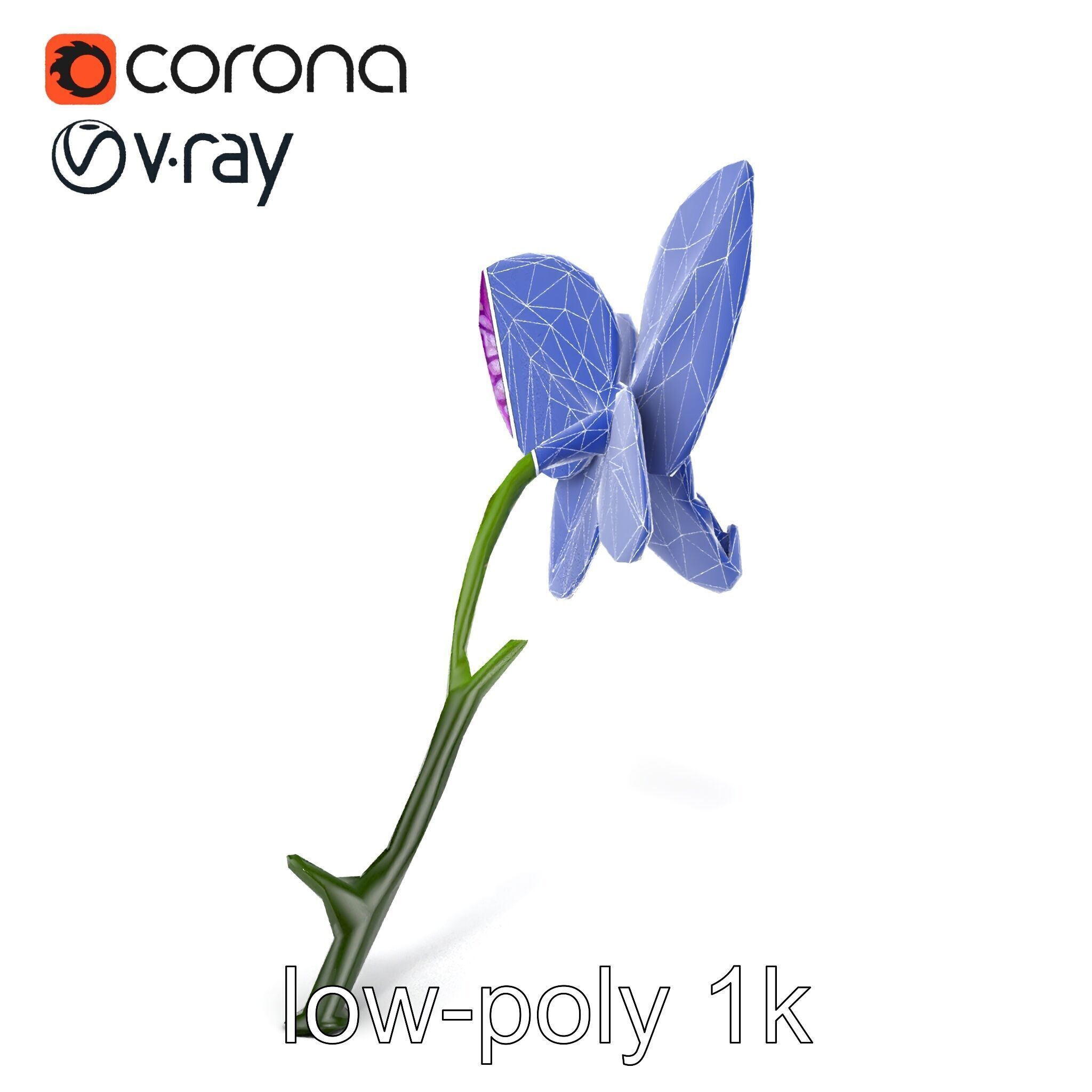 Textured Zygopetalum Orchid Floral model pack Low-poly 3D model_20