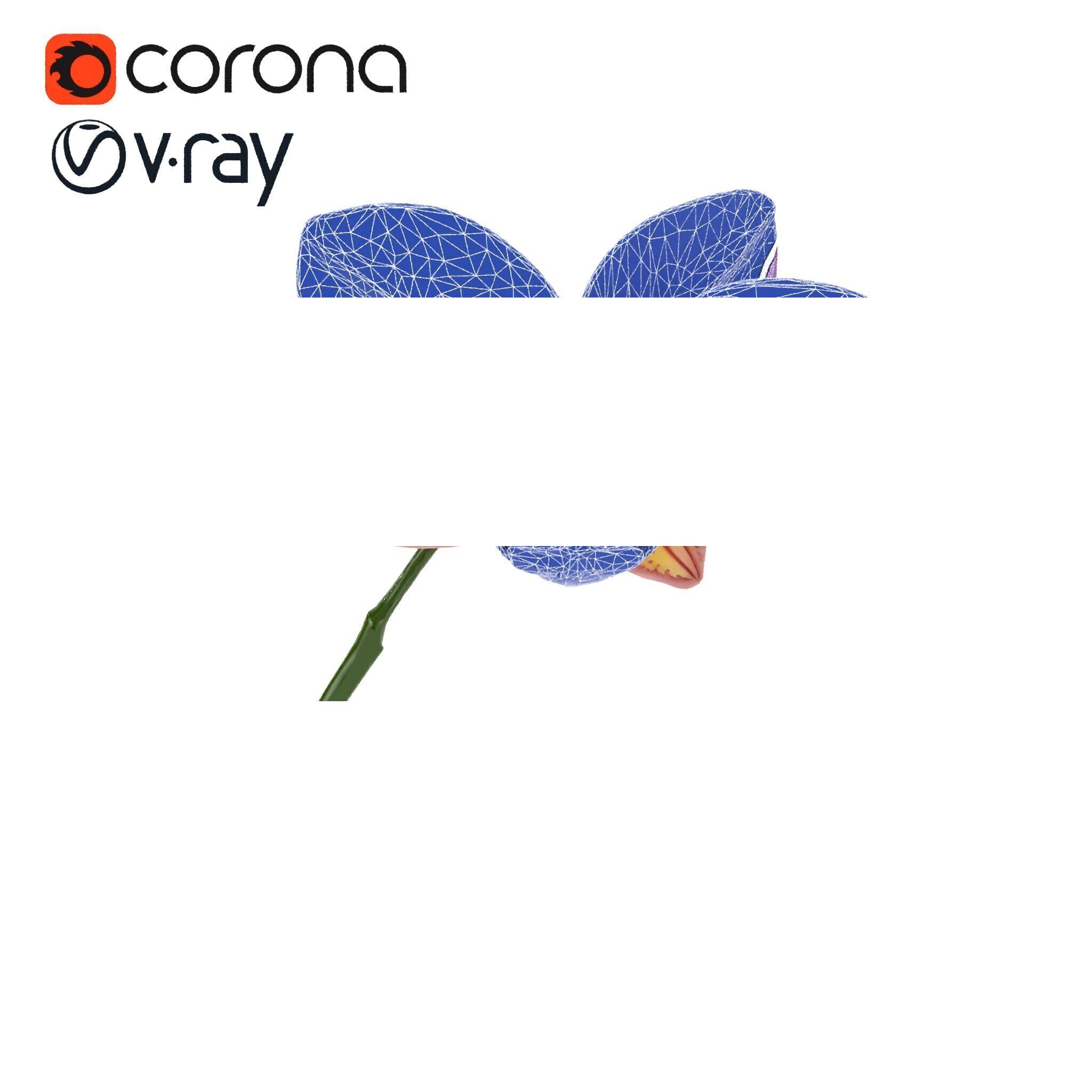 Textured Zygopetalum Orchid Floral model pack Low-poly 3D model_31