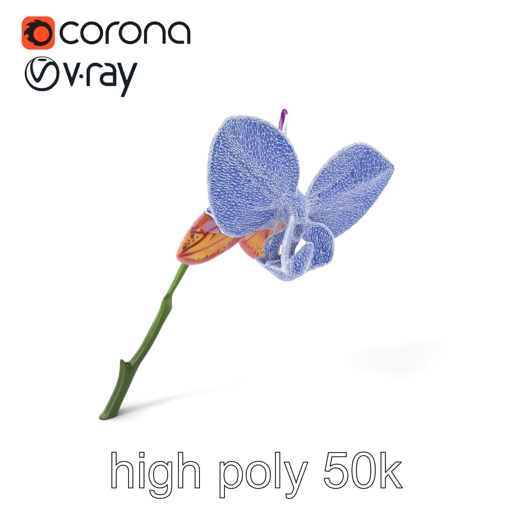 Textured Zygopetalum Orchid Floral model pack Low-poly 3D model_10