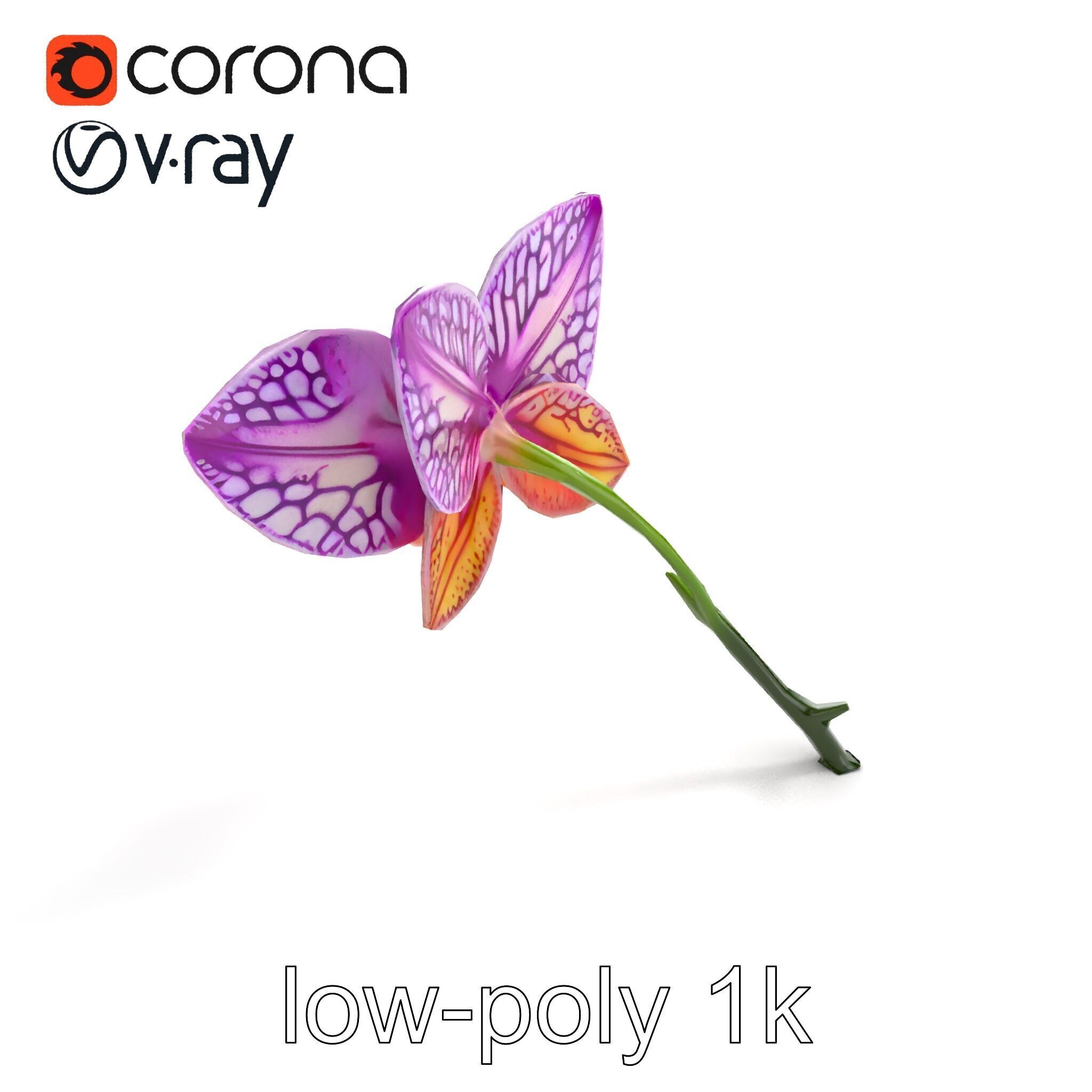 Textured Zygopetalum Orchid Floral model pack Low-poly 3D model_9