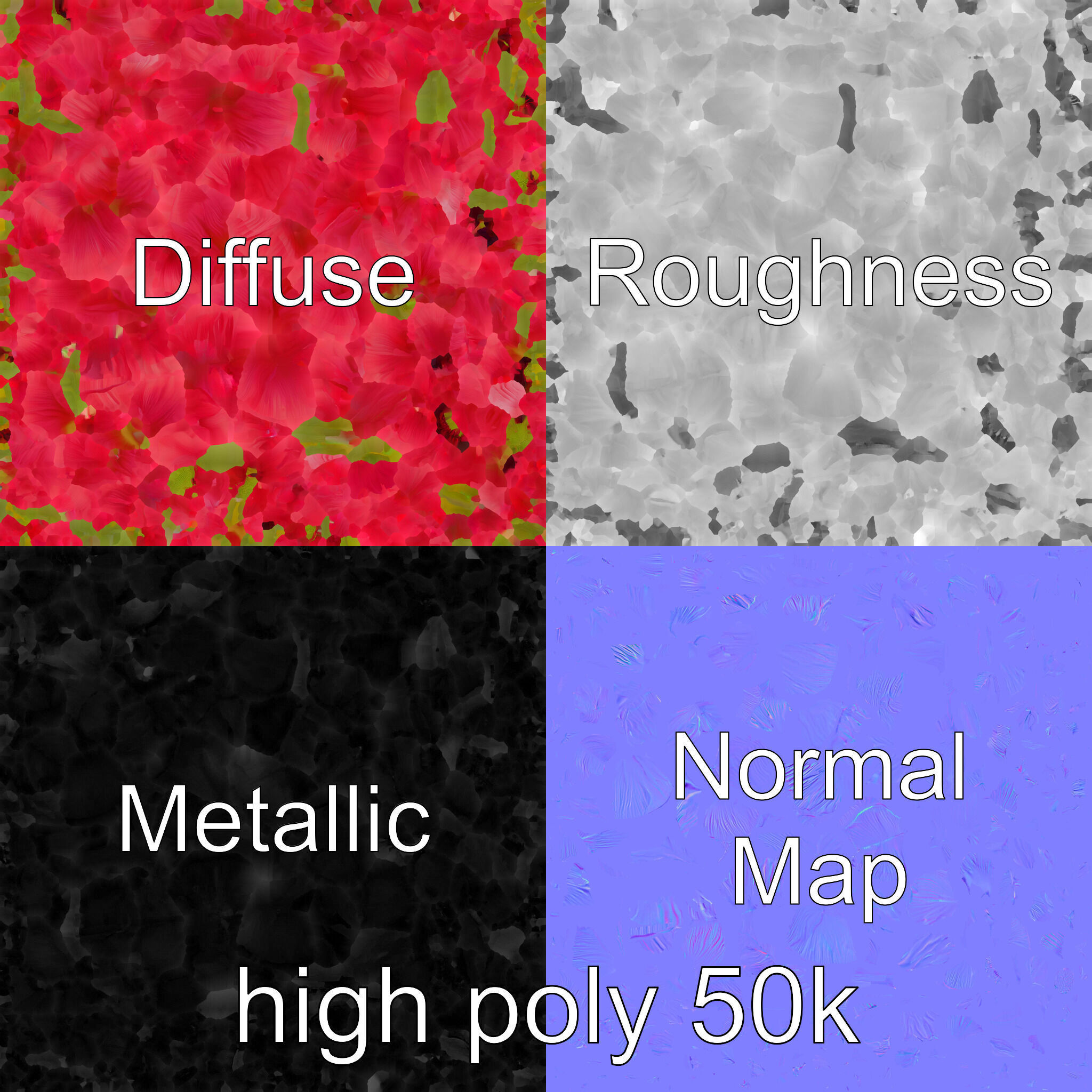 Papaver Double Flower Realistic Wavy model pack Low-poly 3D model_3