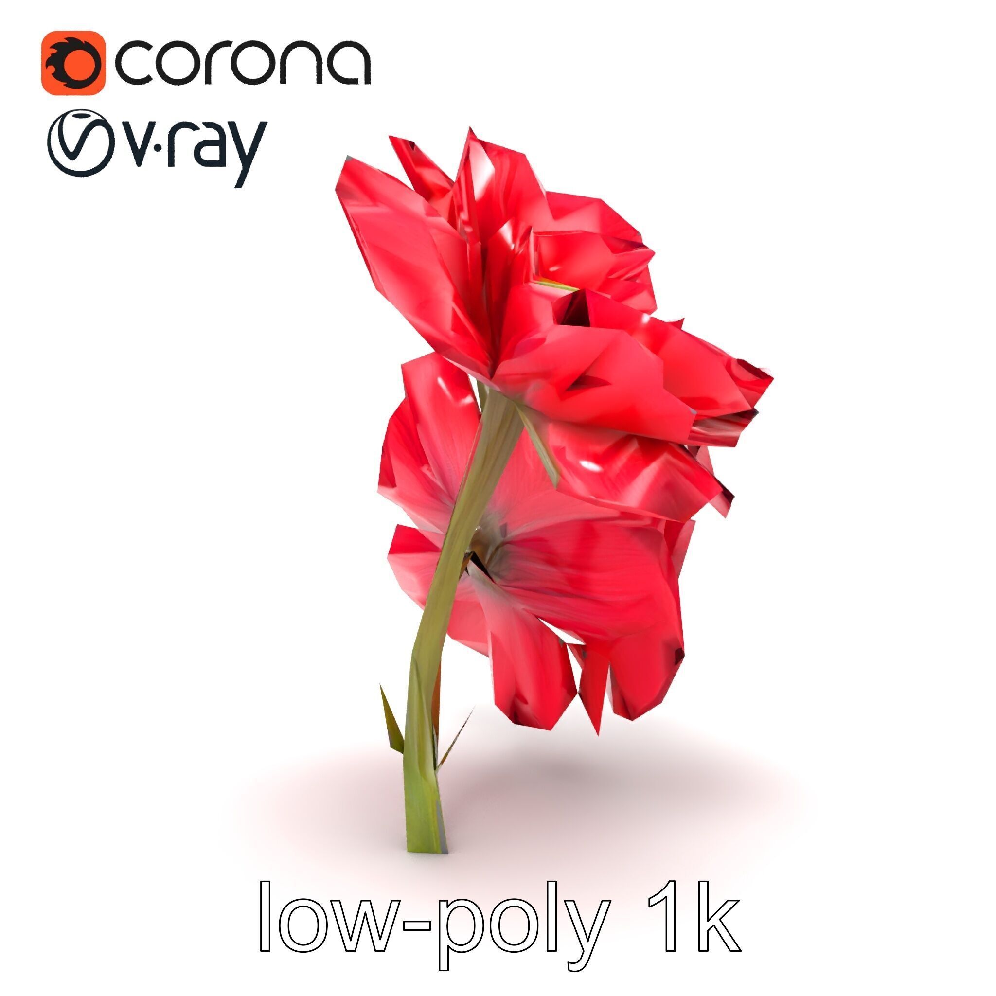 Papaver Double Flower Realistic Wavy model pack Low-poly 3D model_31