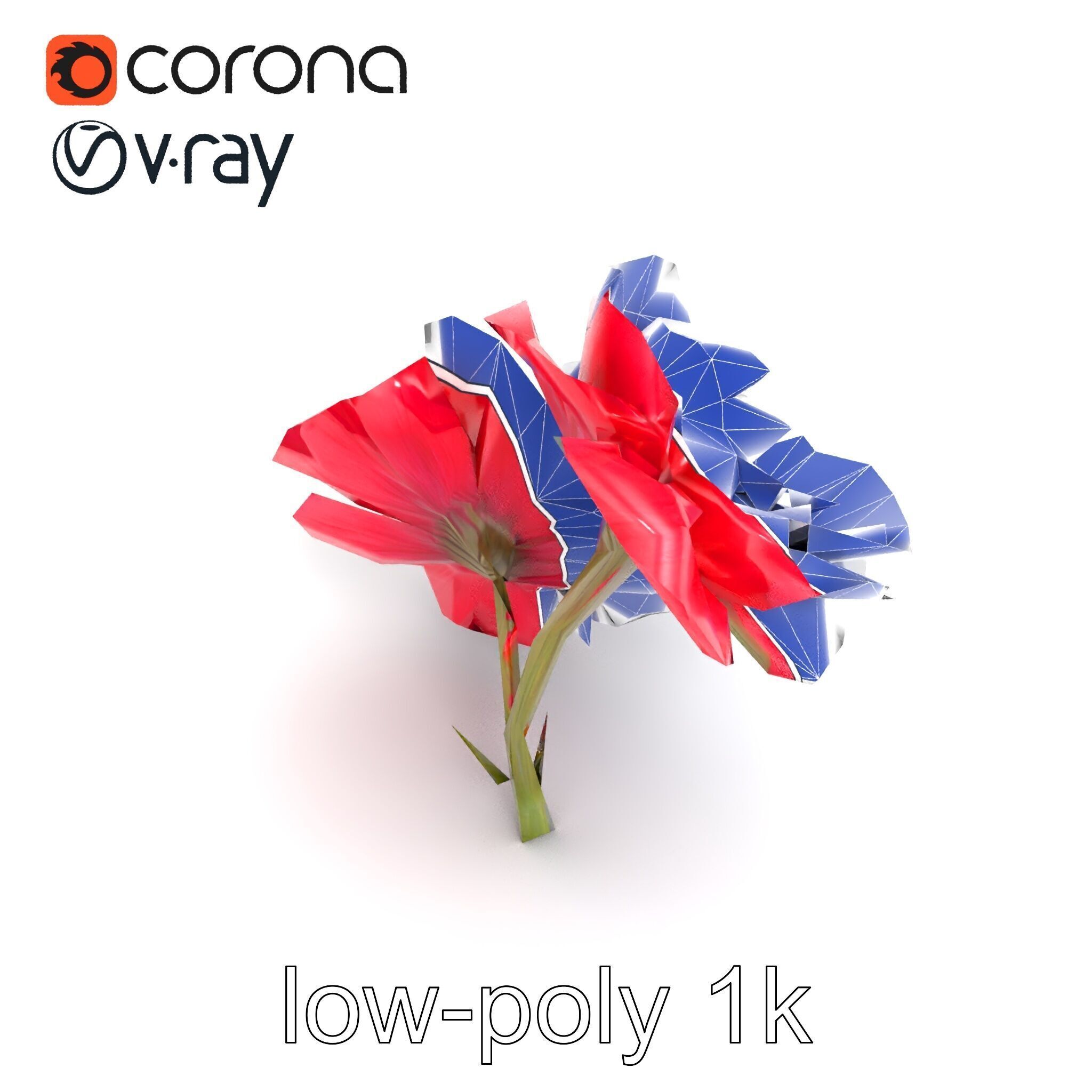 Papaver Double Flower Realistic Wavy model pack Low-poly 3D model_16