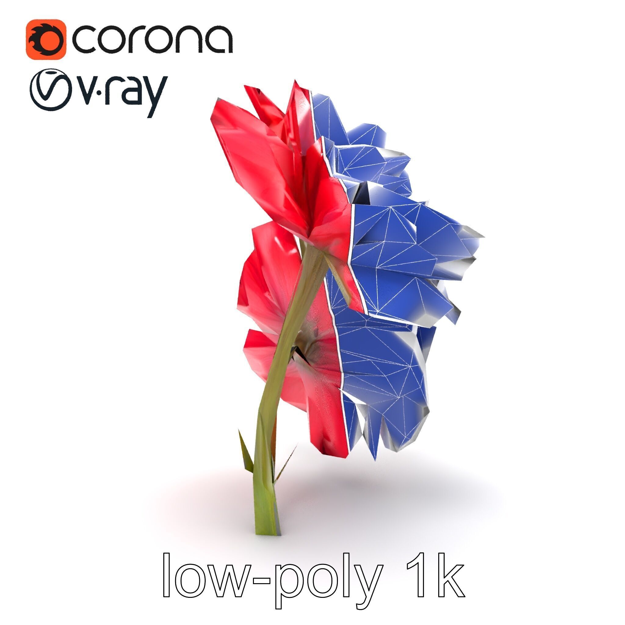 Papaver Double Flower Realistic Wavy model pack Low-poly 3D model_23