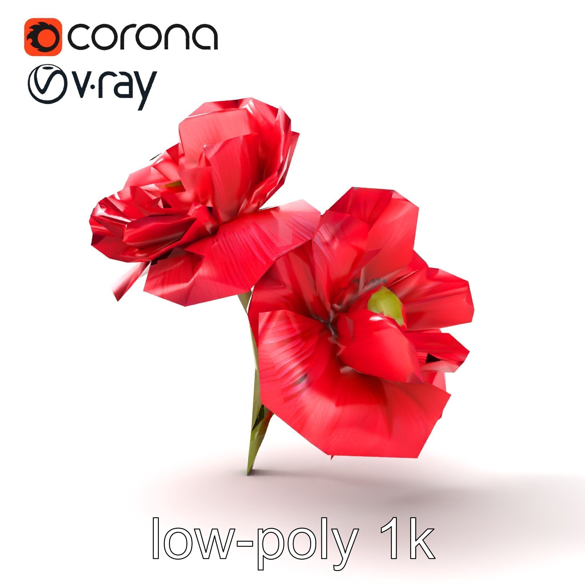 Papaver Double Flower Realistic Wavy model pack Low-poly 3D model_27