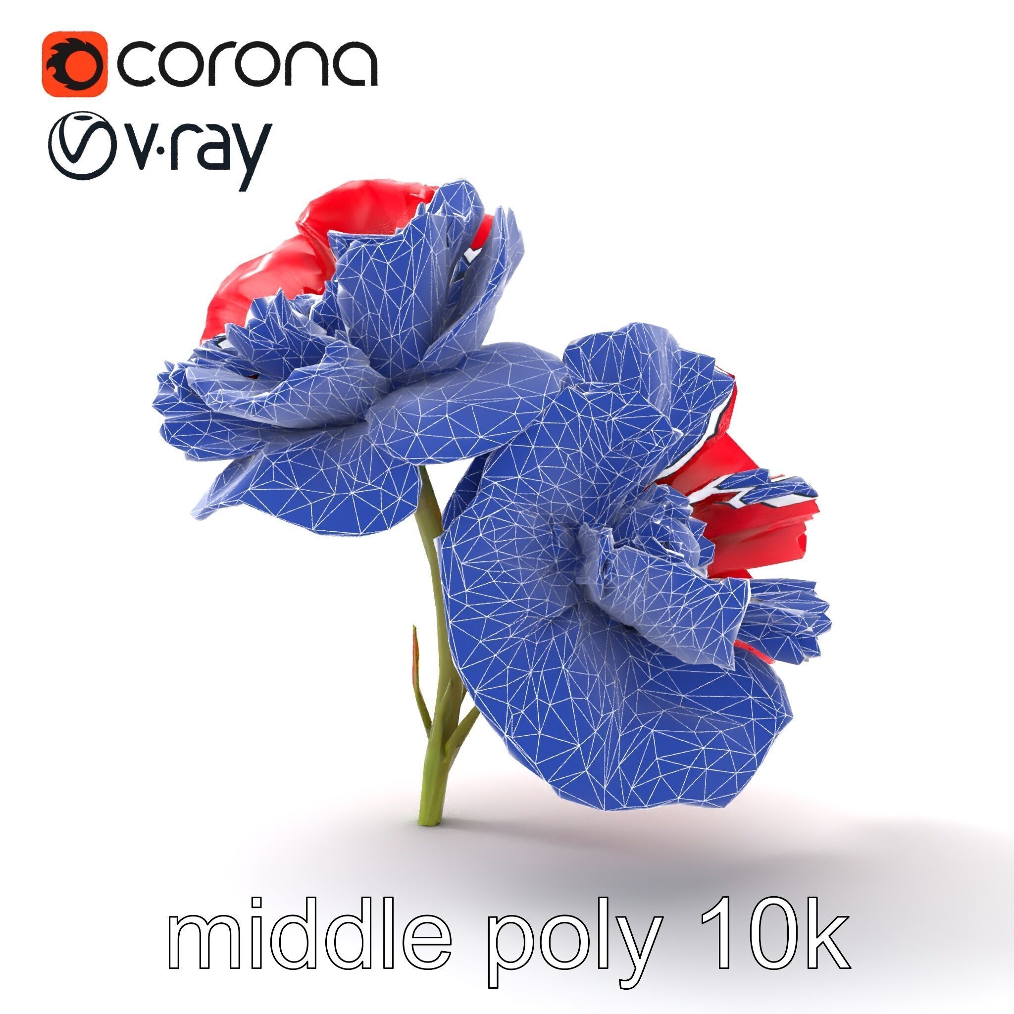Papaver Double Flower Realistic Wavy model pack Low-poly 3D model_11