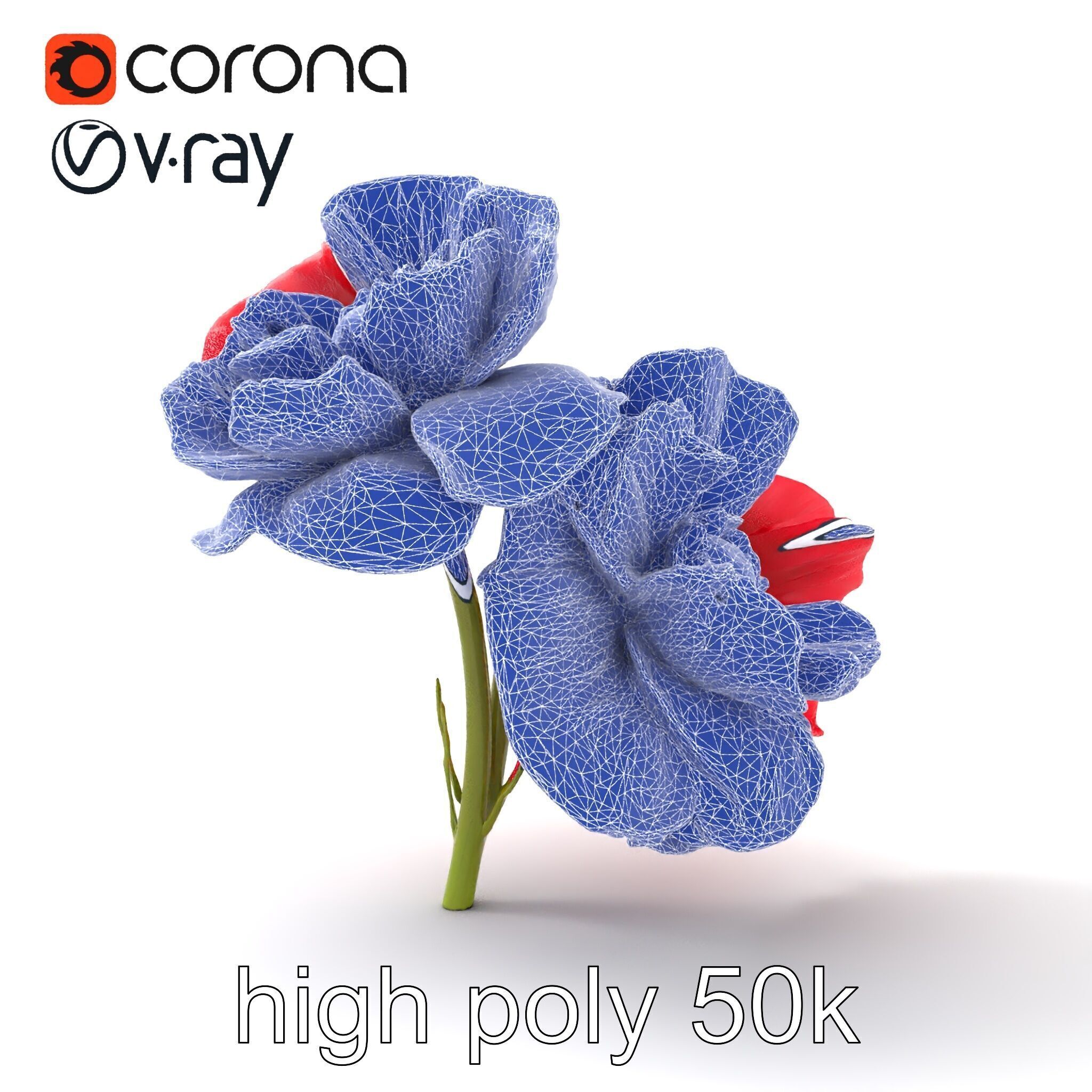 Papaver Double Flower Realistic Wavy model pack Low-poly 3D model_29
