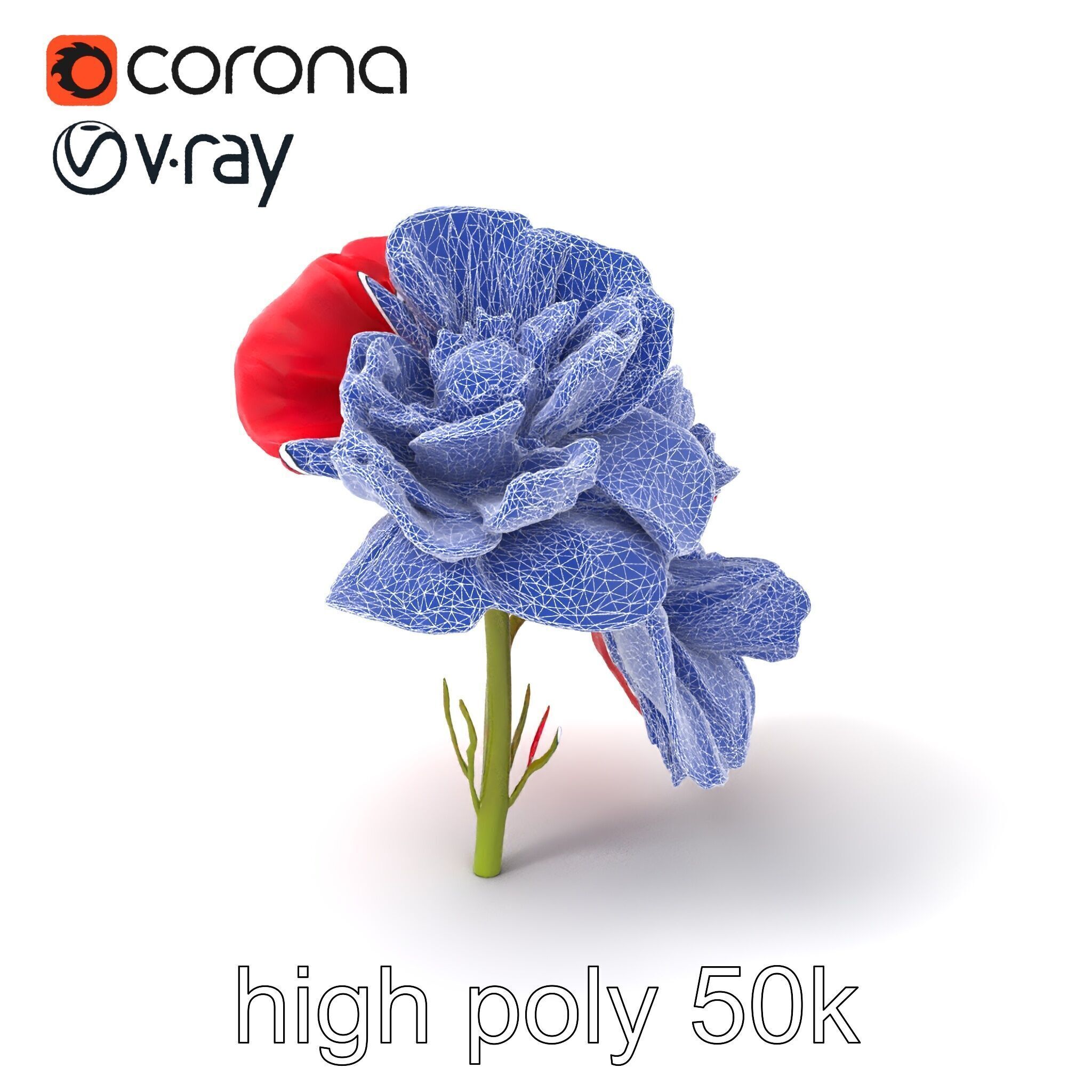 Papaver Double Flower Realistic Wavy model pack Low-poly 3D model_10