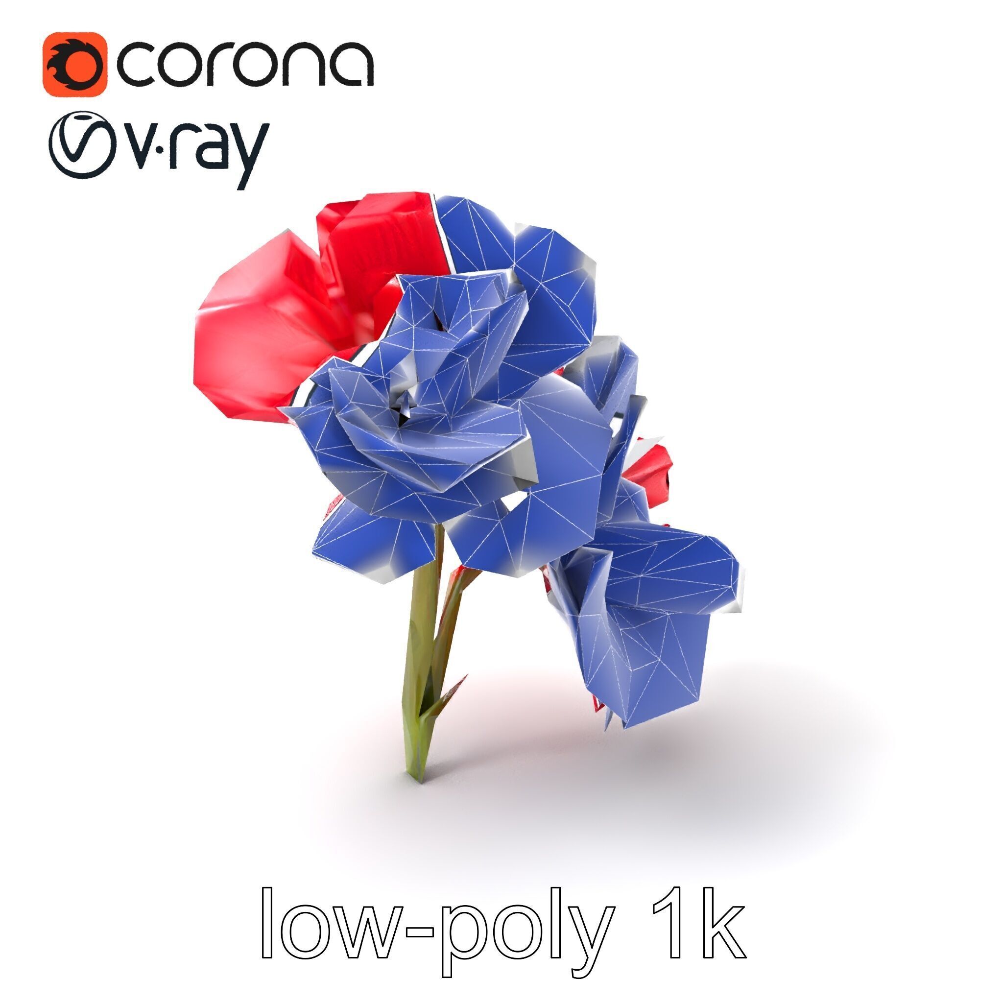 Papaver Double Flower Realistic Wavy model pack Low-poly 3D model_7