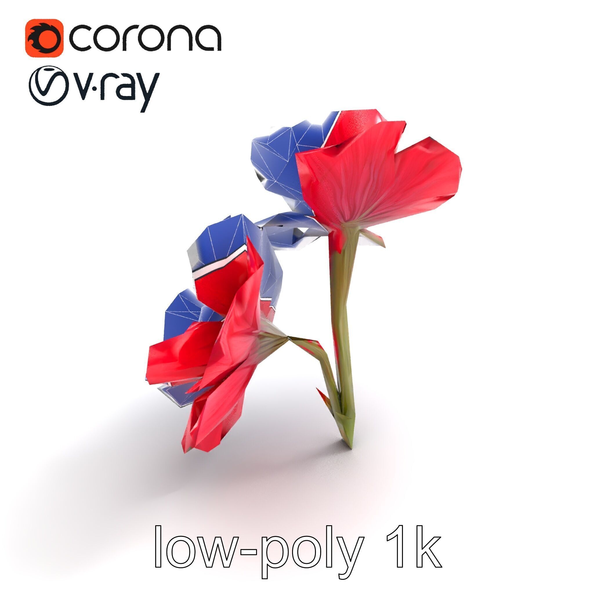 Papaver Double Flower Realistic Wavy model pack Low-poly 3D model_12