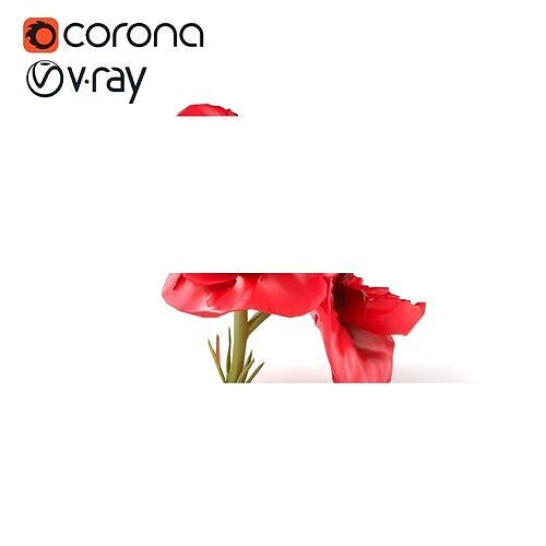 Papaver Double Flower Realistic Wavy model pack Low-poly 3D model