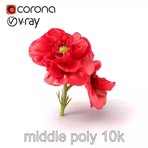 Papaver Double Flower Realistic Wavy model pack