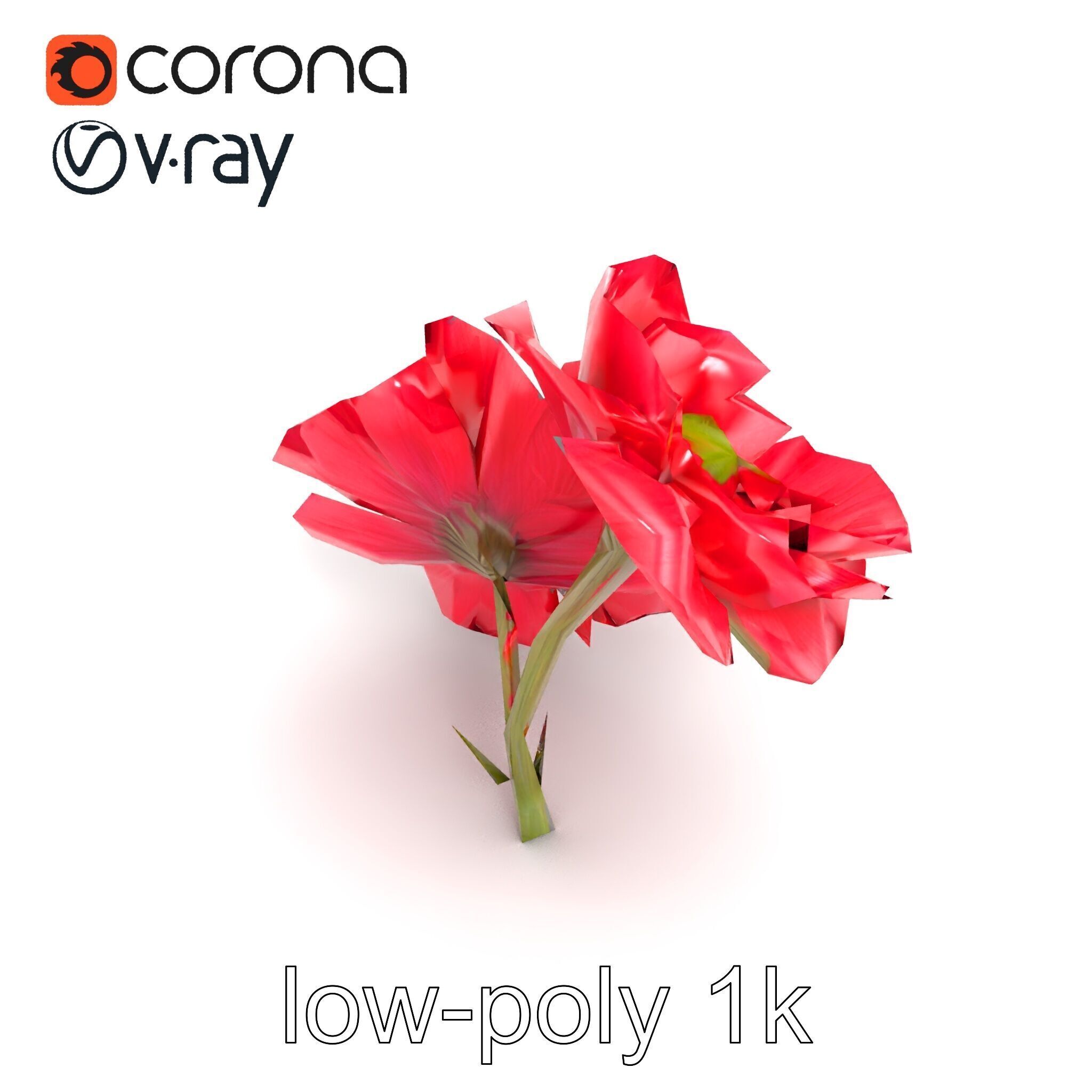 Papaver Double Flower Realistic Wavy model pack Low-poly 3D model_13