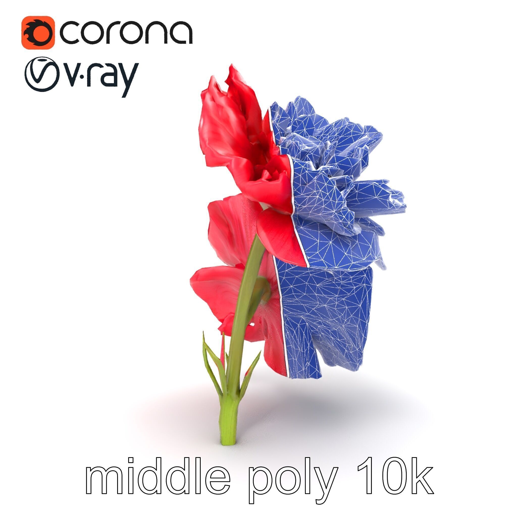 Papaver Double Flower Realistic Wavy model pack Low-poly 3D model_15