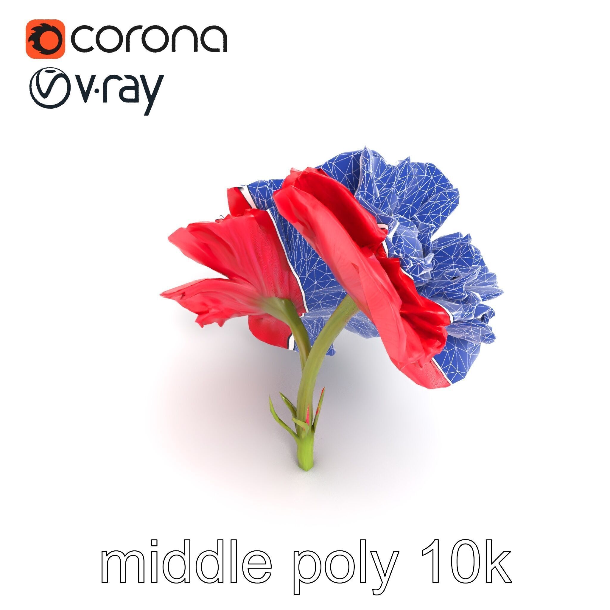 Papaver Double Flower Realistic Wavy model pack Low-poly 3D model_28