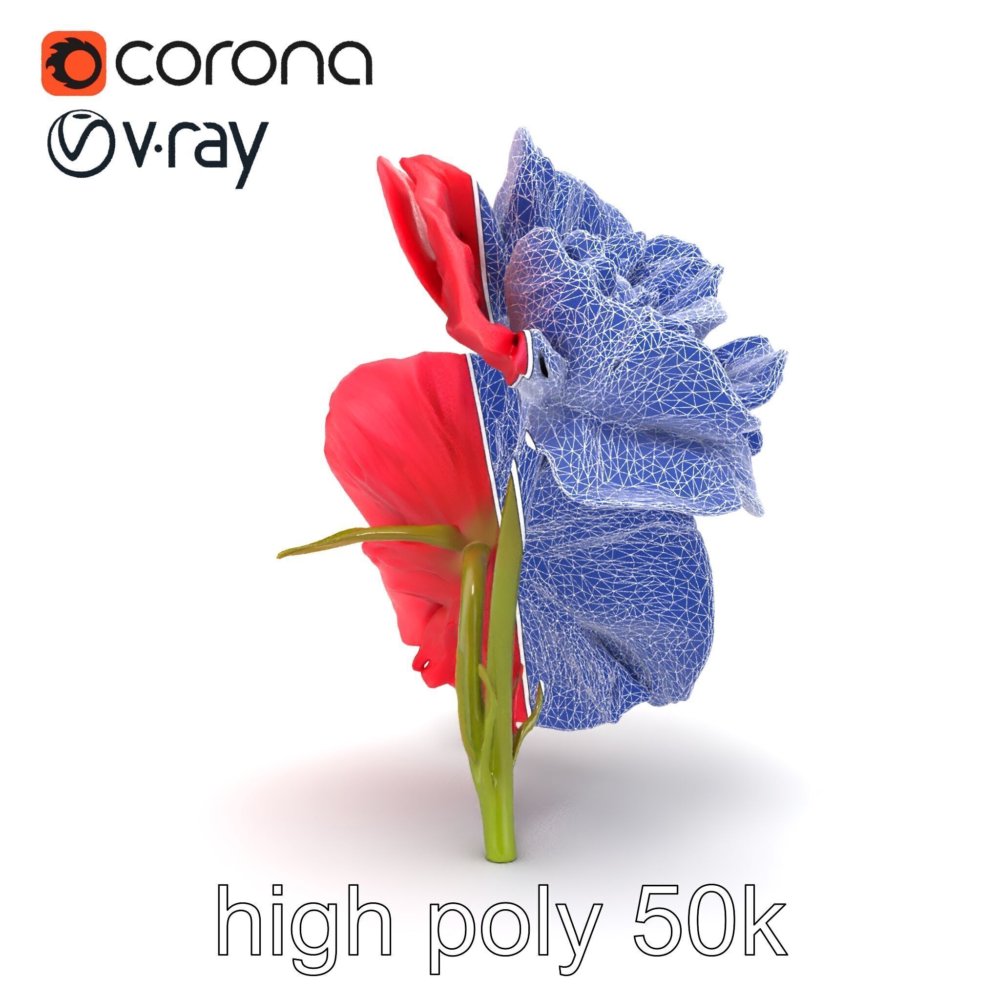 Papaver Double Flower Realistic Wavy model pack Low-poly 3D model_20