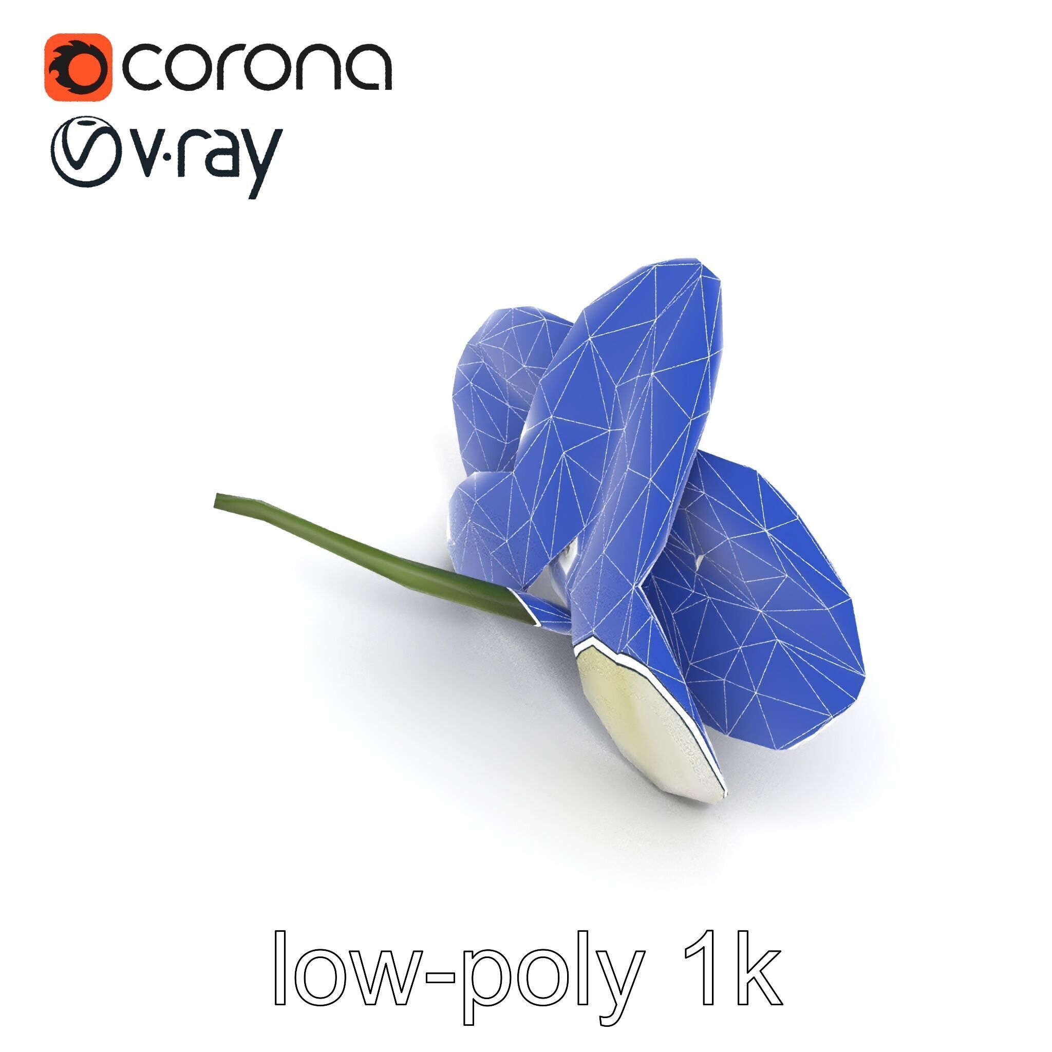 Vivid Cambria Orchid Hybrid model pack Low-poly 3D model_26