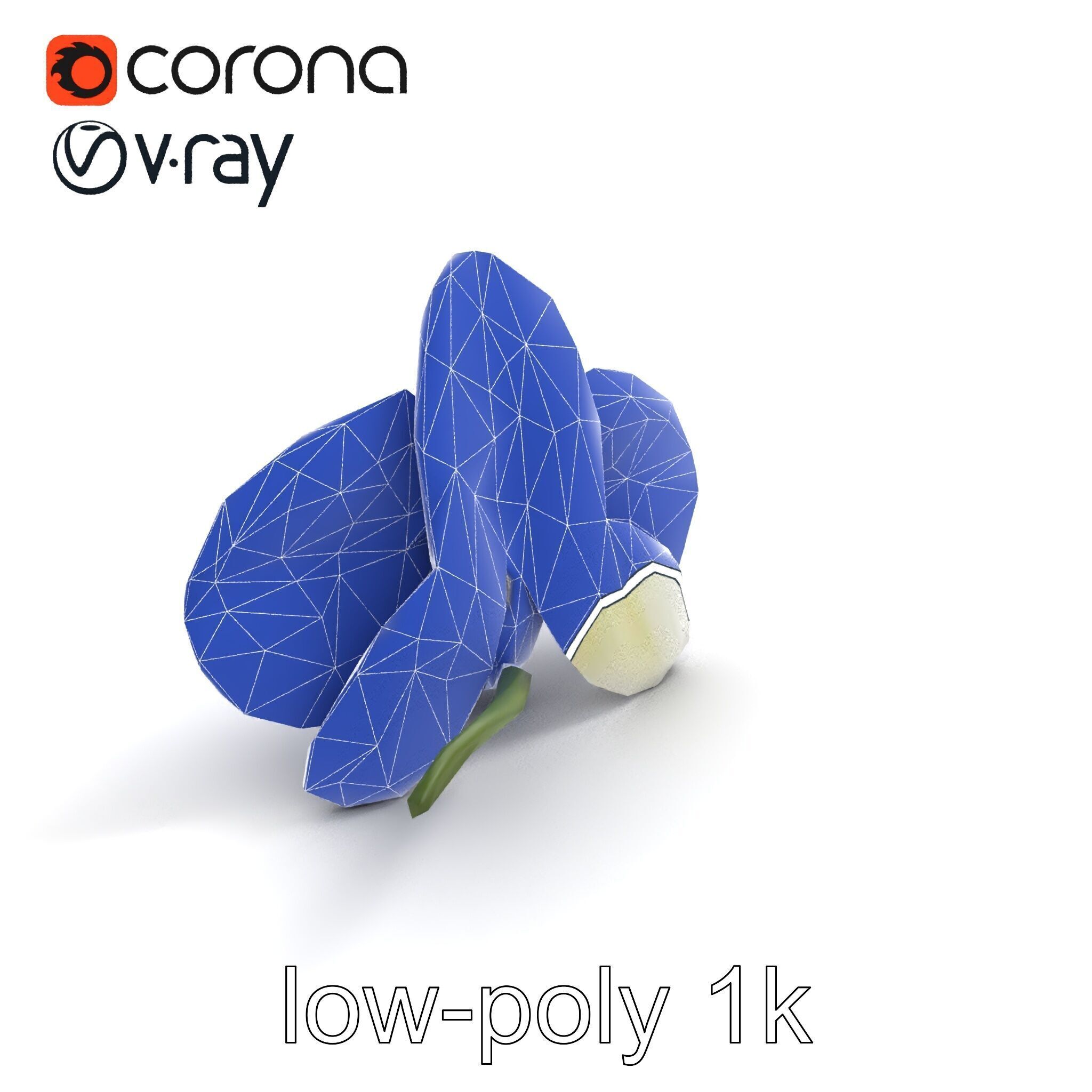 Vivid Cambria Orchid Hybrid model pack Low-poly 3D model_10