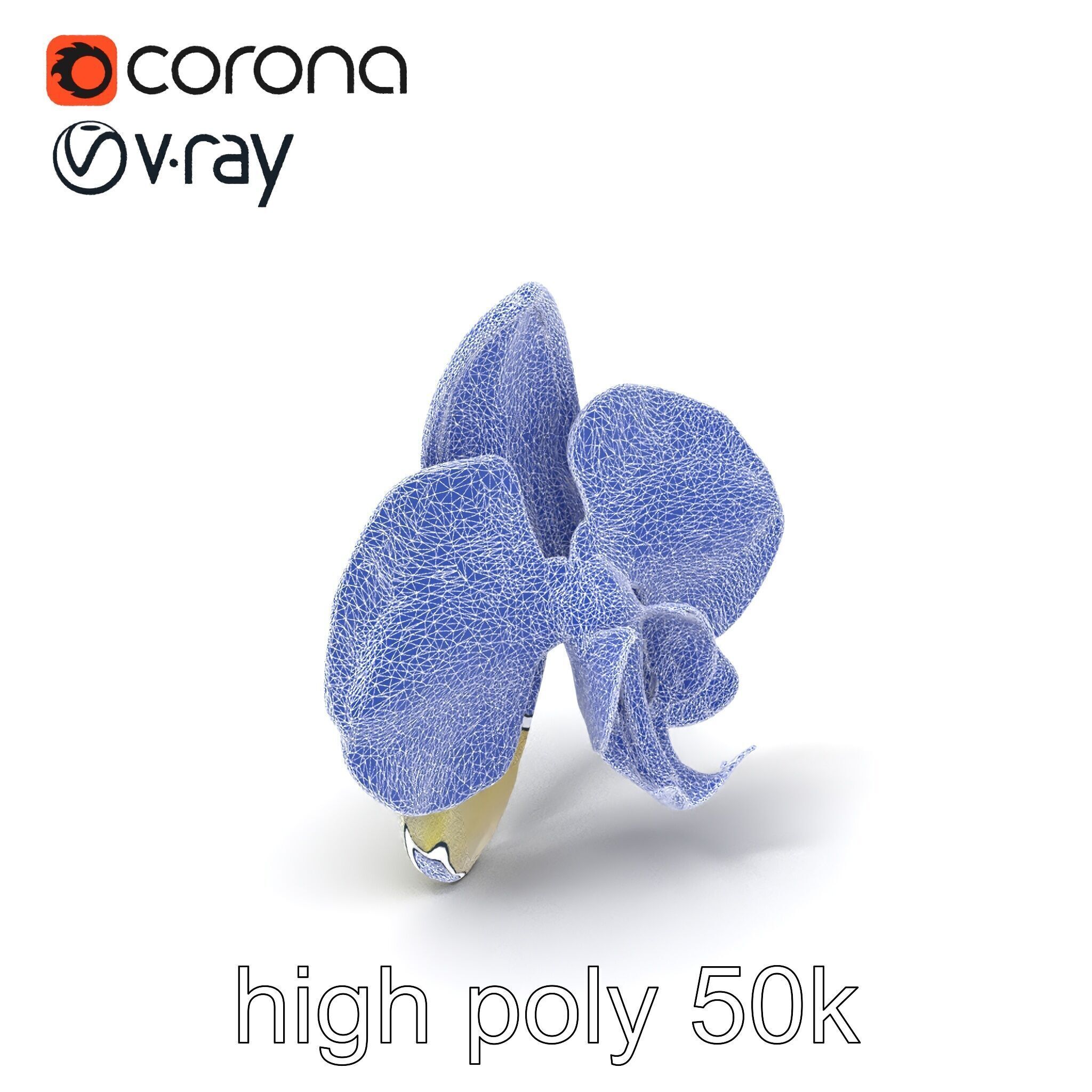 Vivid Cambria Orchid Hybrid model pack Low-poly 3D model_1