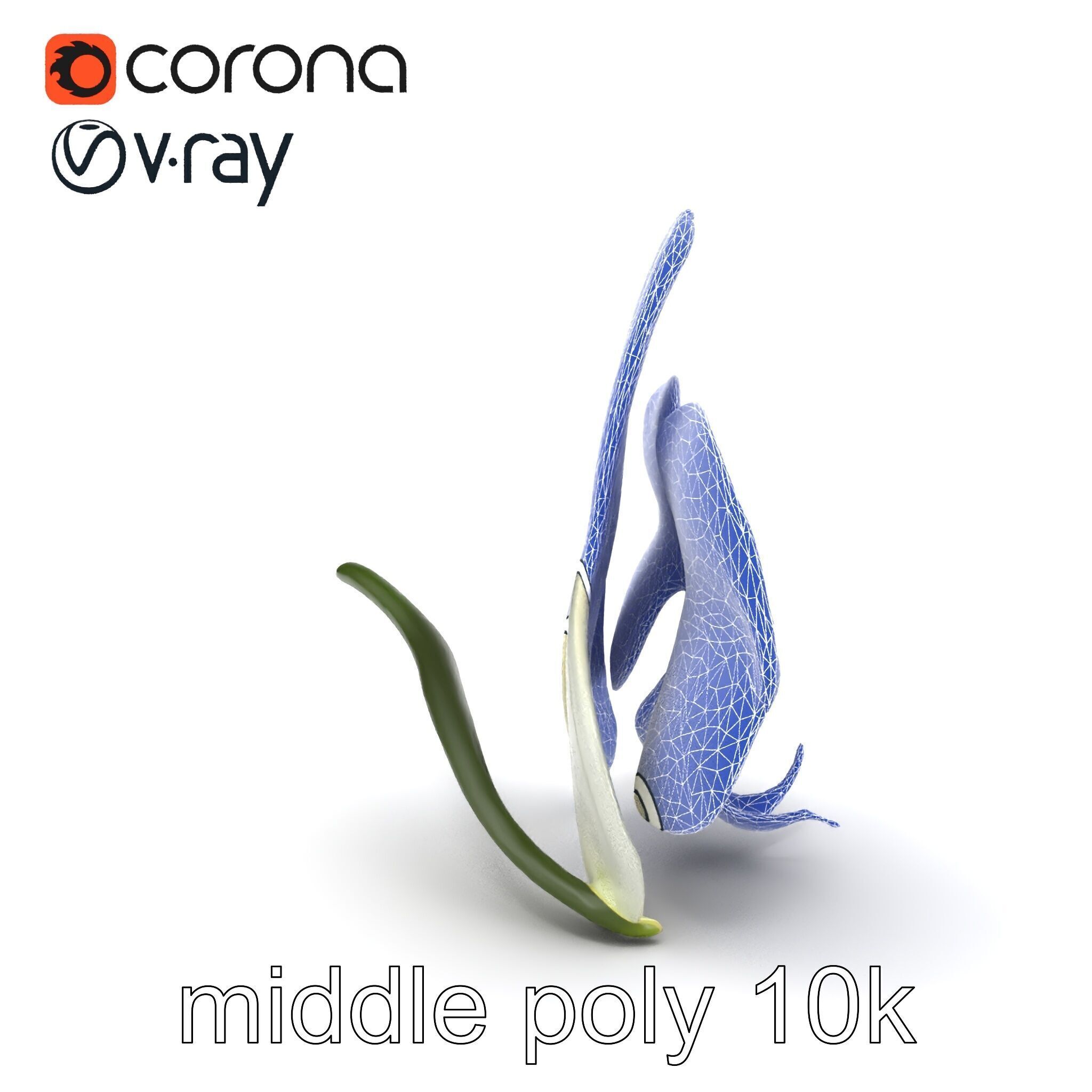 Vivid Cambria Orchid Hybrid model pack Low-poly 3D model_19