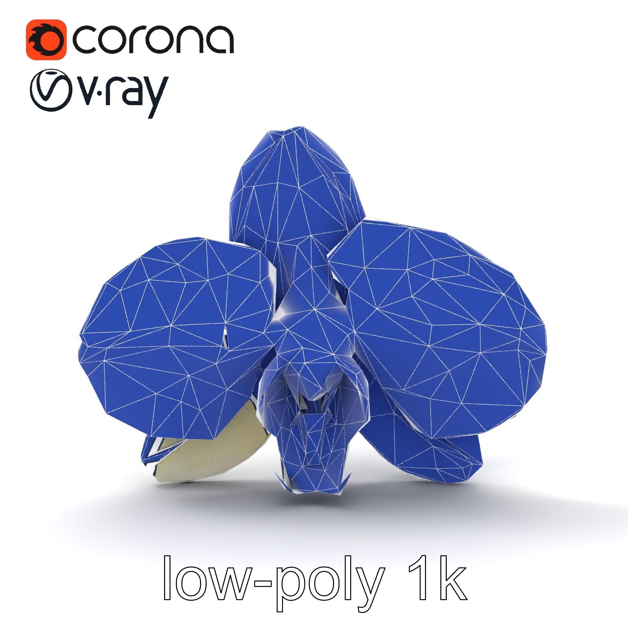 Vivid Cambria Orchid Hybrid model pack Low-poly 3D model_18