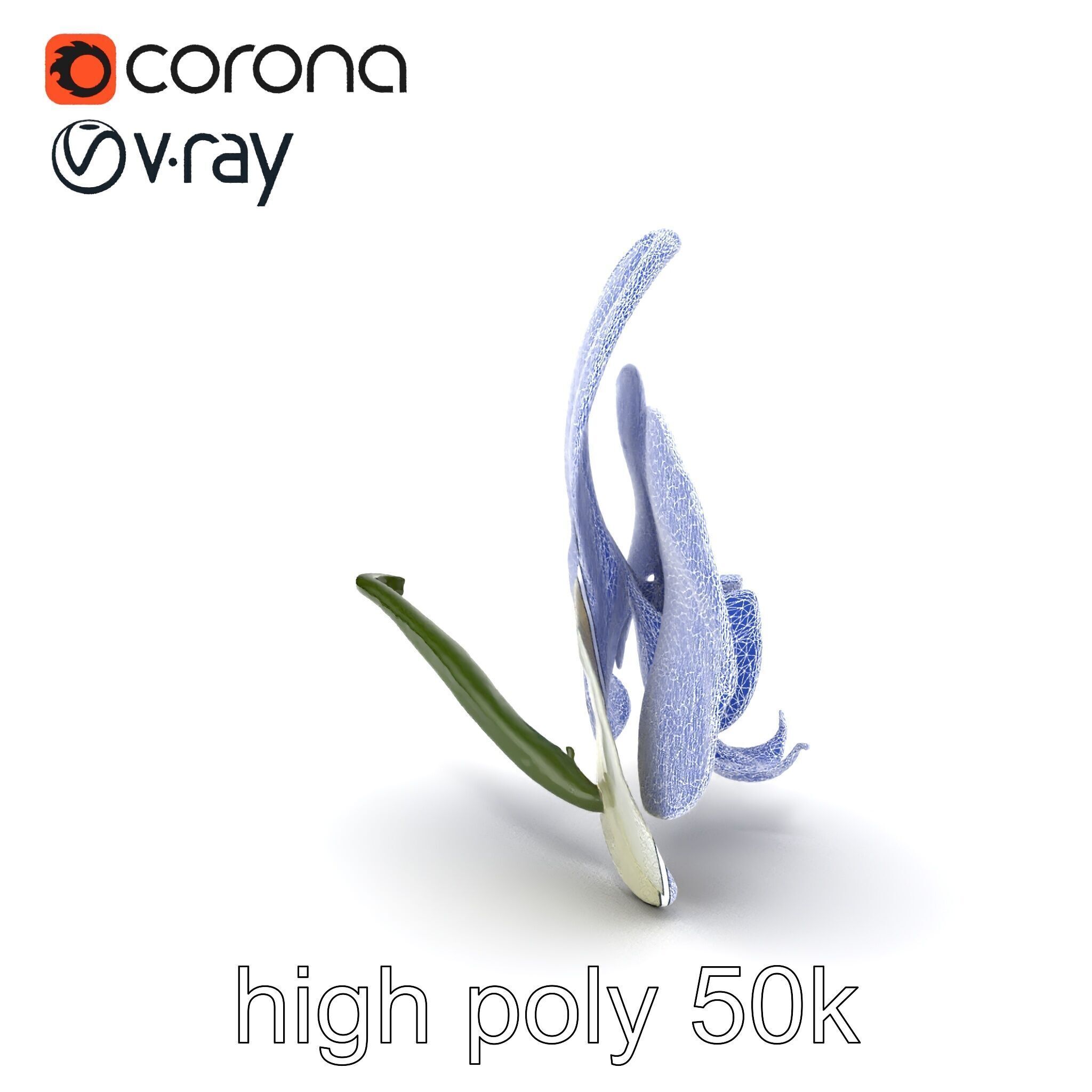 Vivid Cambria Orchid Hybrid model pack Low-poly 3D model_24