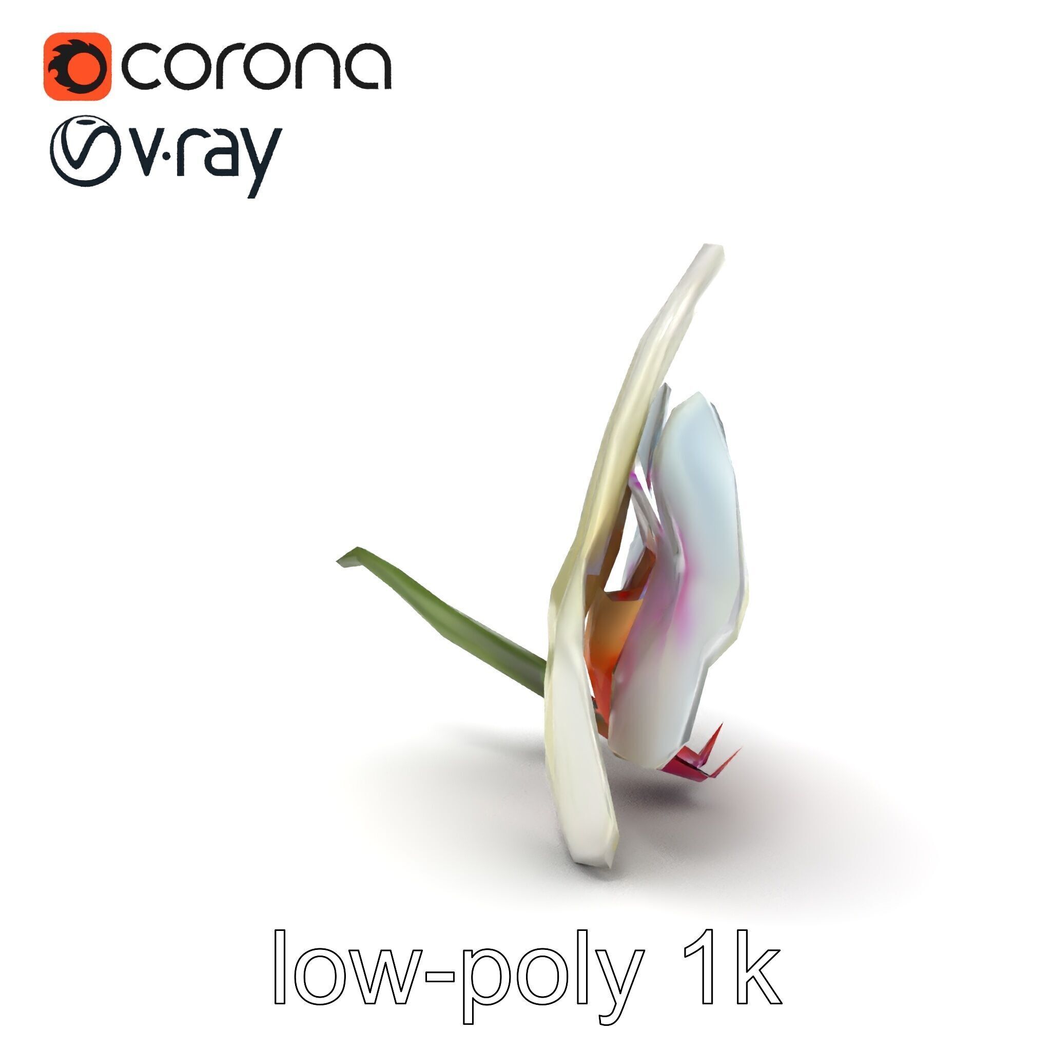 Vivid Cambria Orchid Hybrid model pack Low-poly 3D model_21