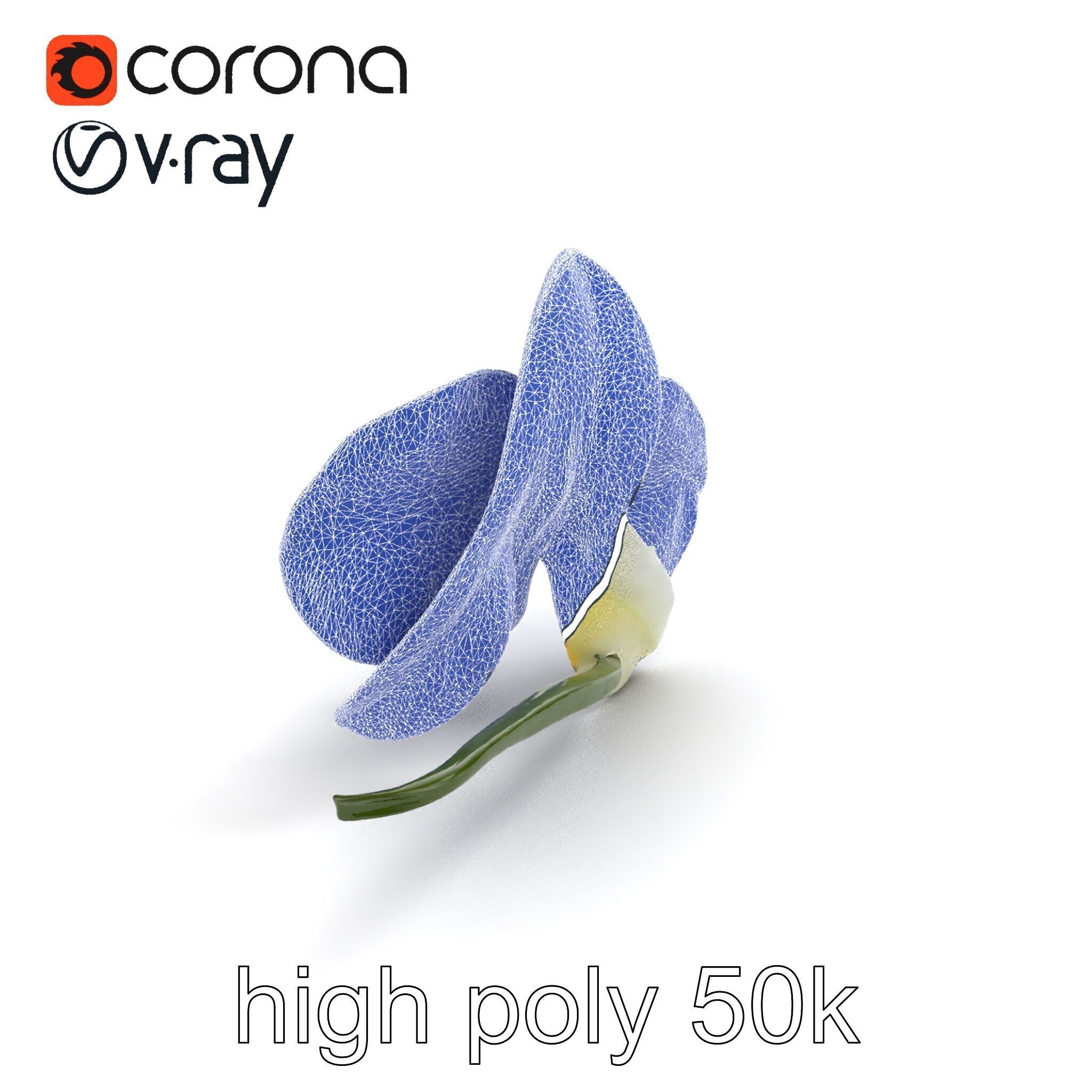 Vivid Cambria Orchid Hybrid model pack Low-poly 3D model_27