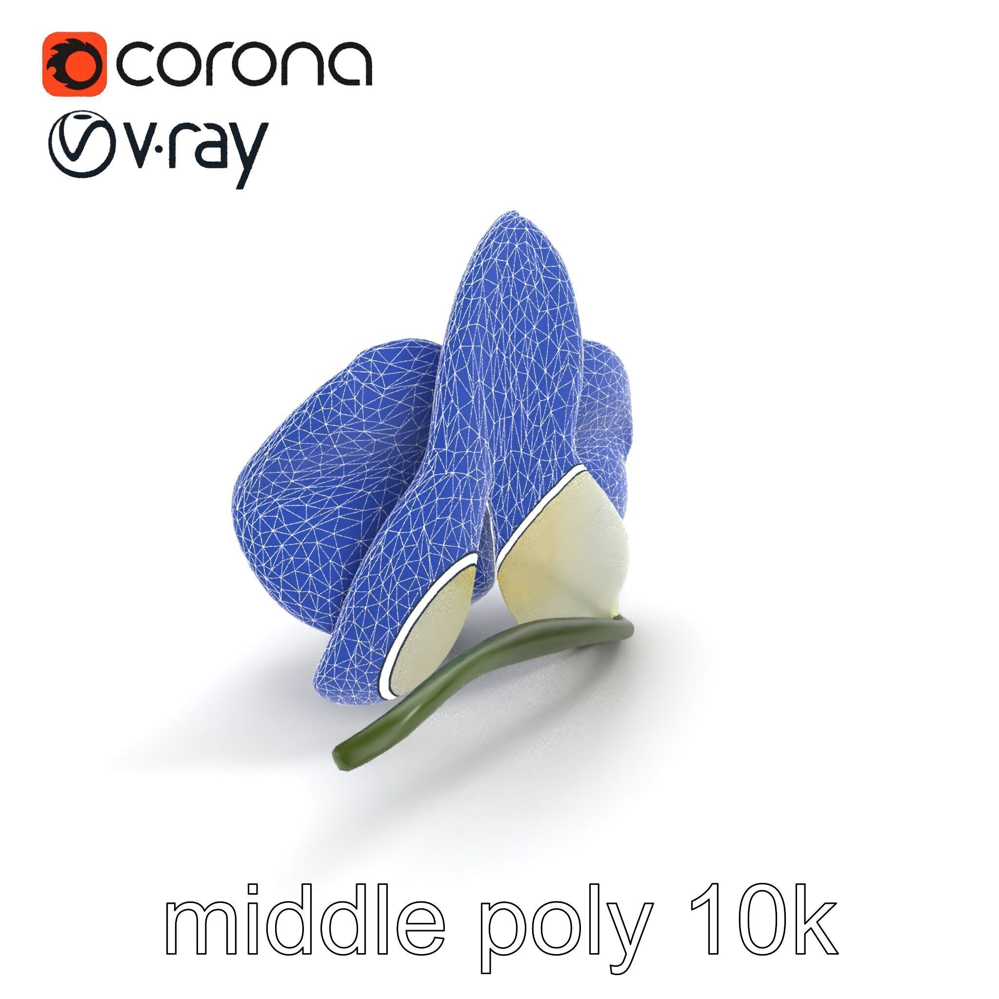 Vivid Cambria Orchid Hybrid model pack Low-poly 3D model_29