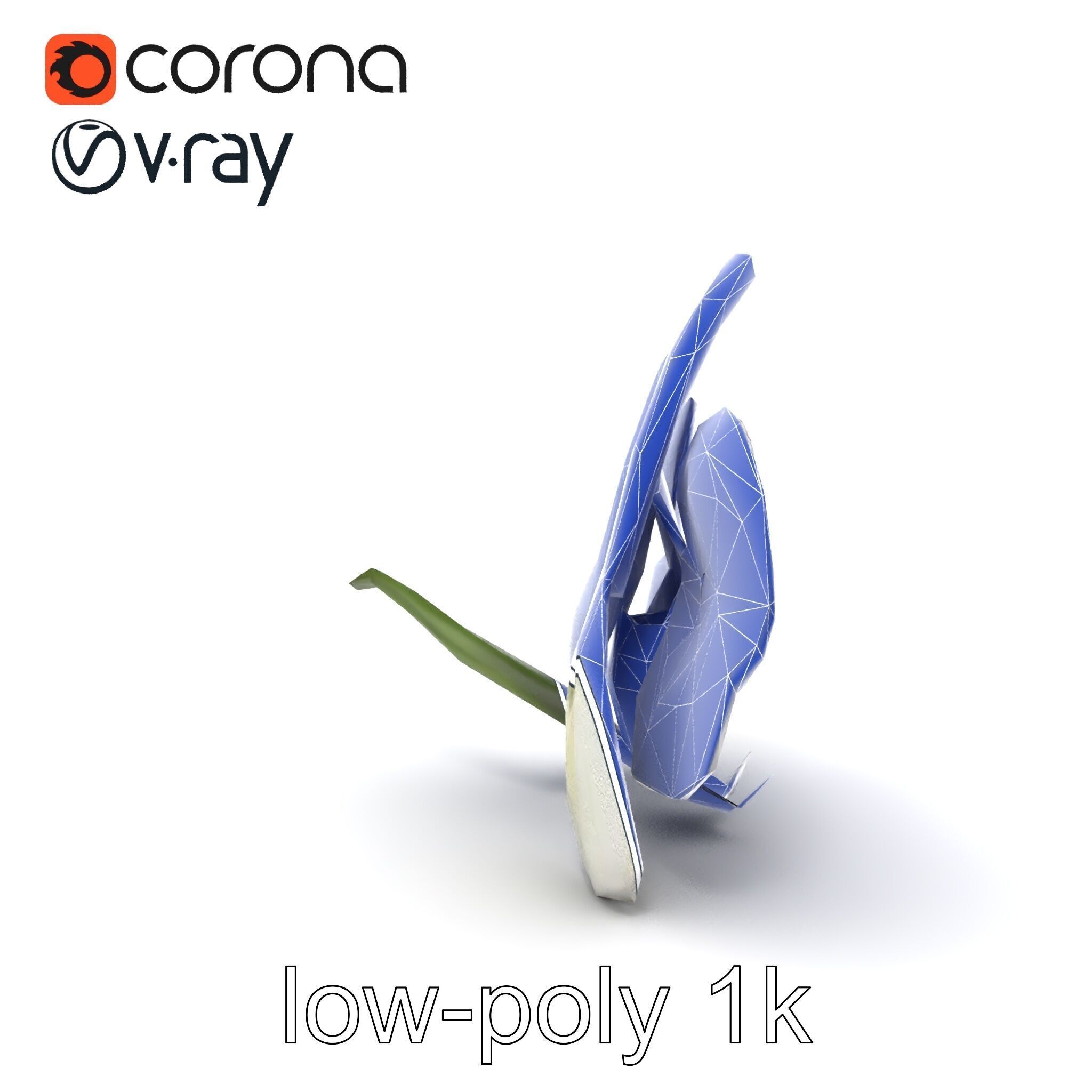 Vivid Cambria Orchid Hybrid model pack Low-poly 3D model_23