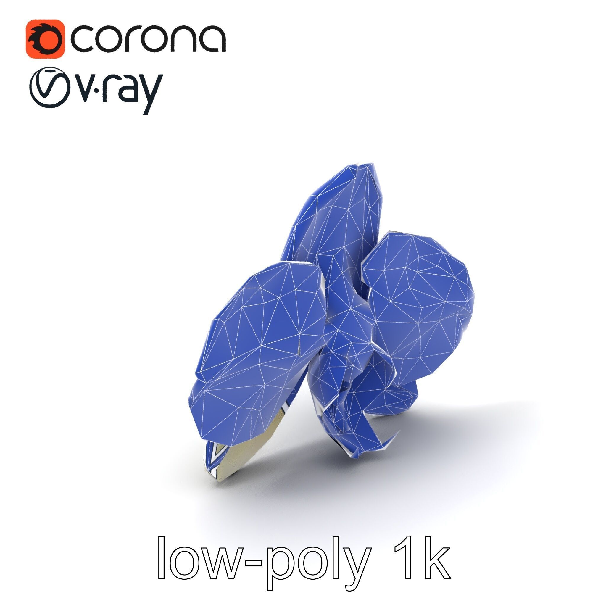 Vivid Cambria Orchid Hybrid model pack Low-poly 3D model_6