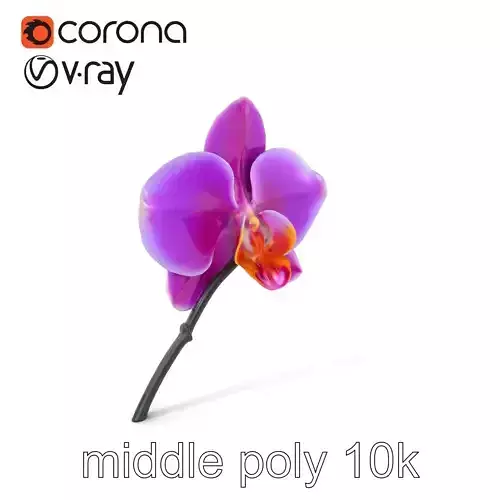 Cattleya Orchid Elegance Velvet Texture model pack Low-poly 3D model