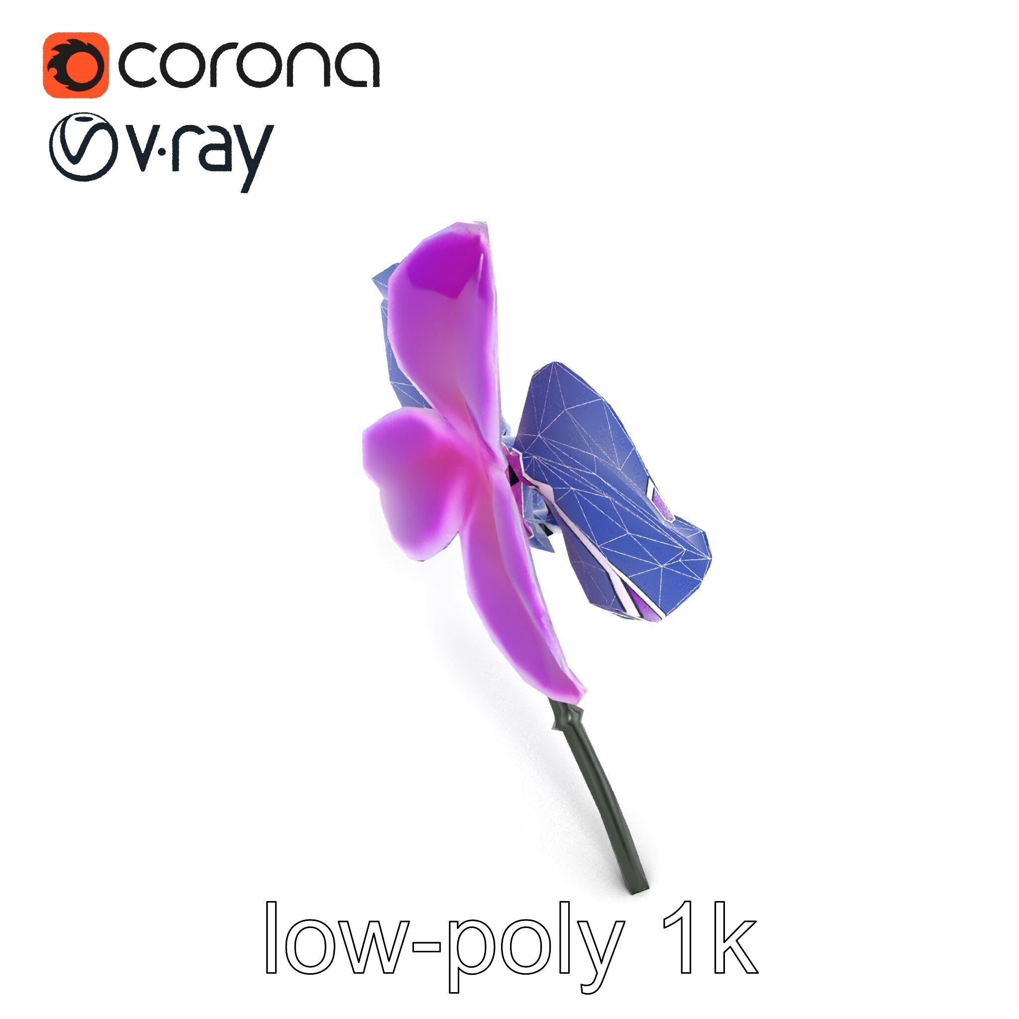 Cattleya Orchid Elegance Velvet Texture model pack Low-poly 3D model_13