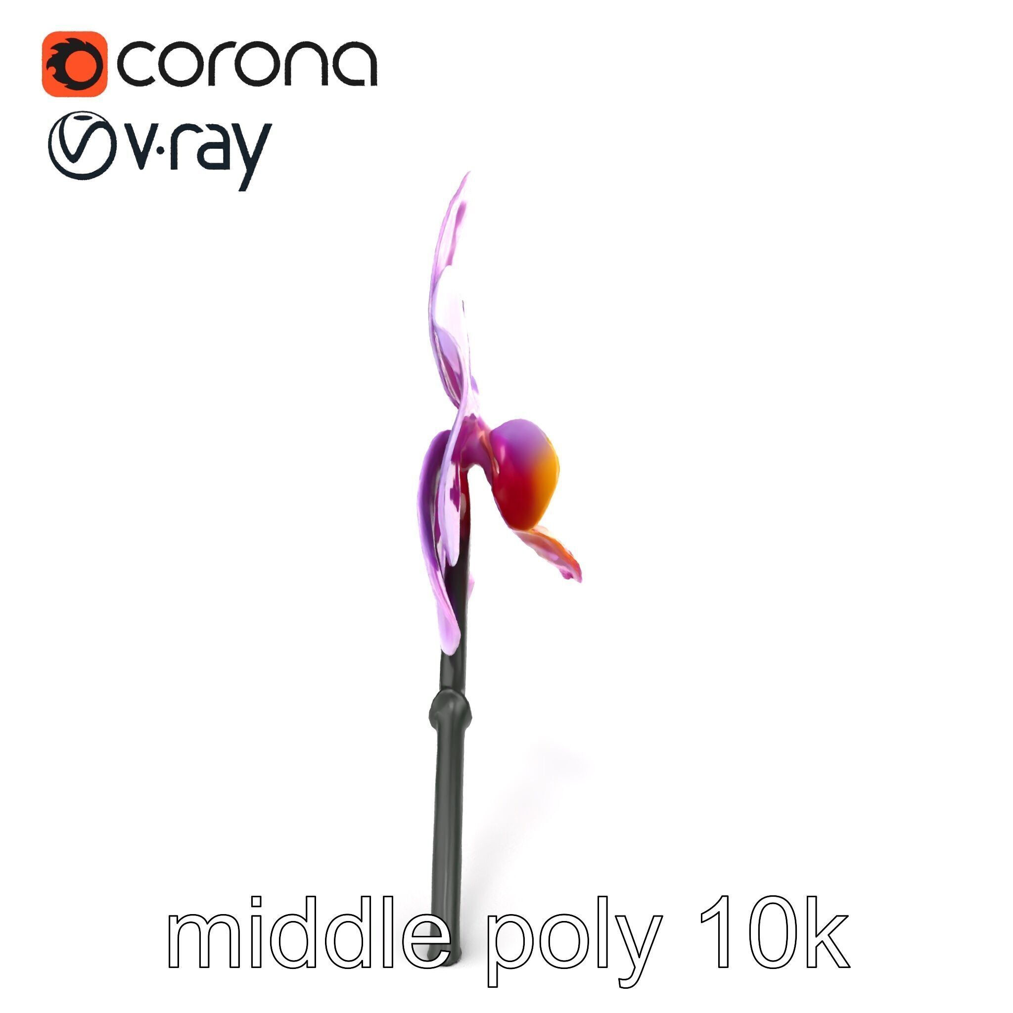 Cattleya Orchid Elegance Velvet Texture model pack Low-poly 3D model_21