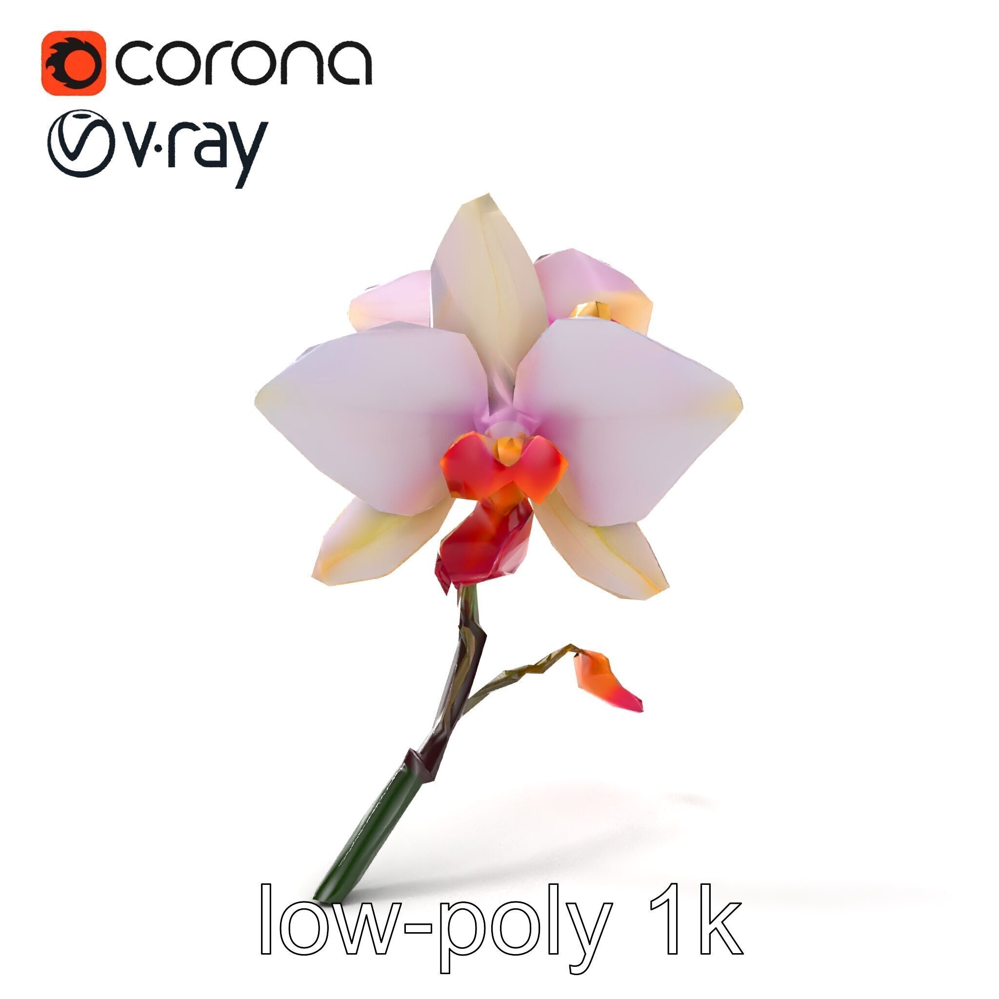 Dendrobium Orchid Floral Diversity model pack Low-poly 3D model_13