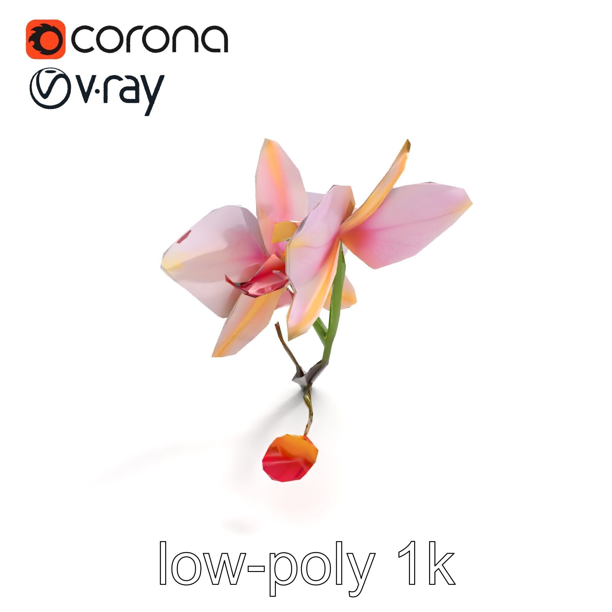 Dendrobium Orchid Floral Diversity model pack Low-poly 3D model_8