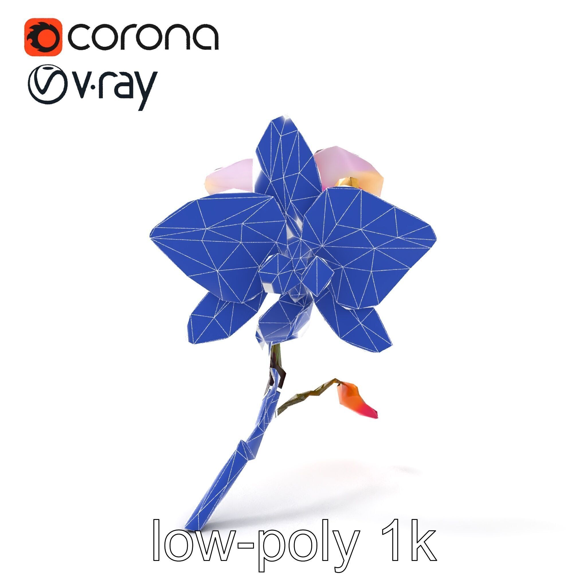 Dendrobium Orchid Floral Diversity model pack Low-poly 3D model_21