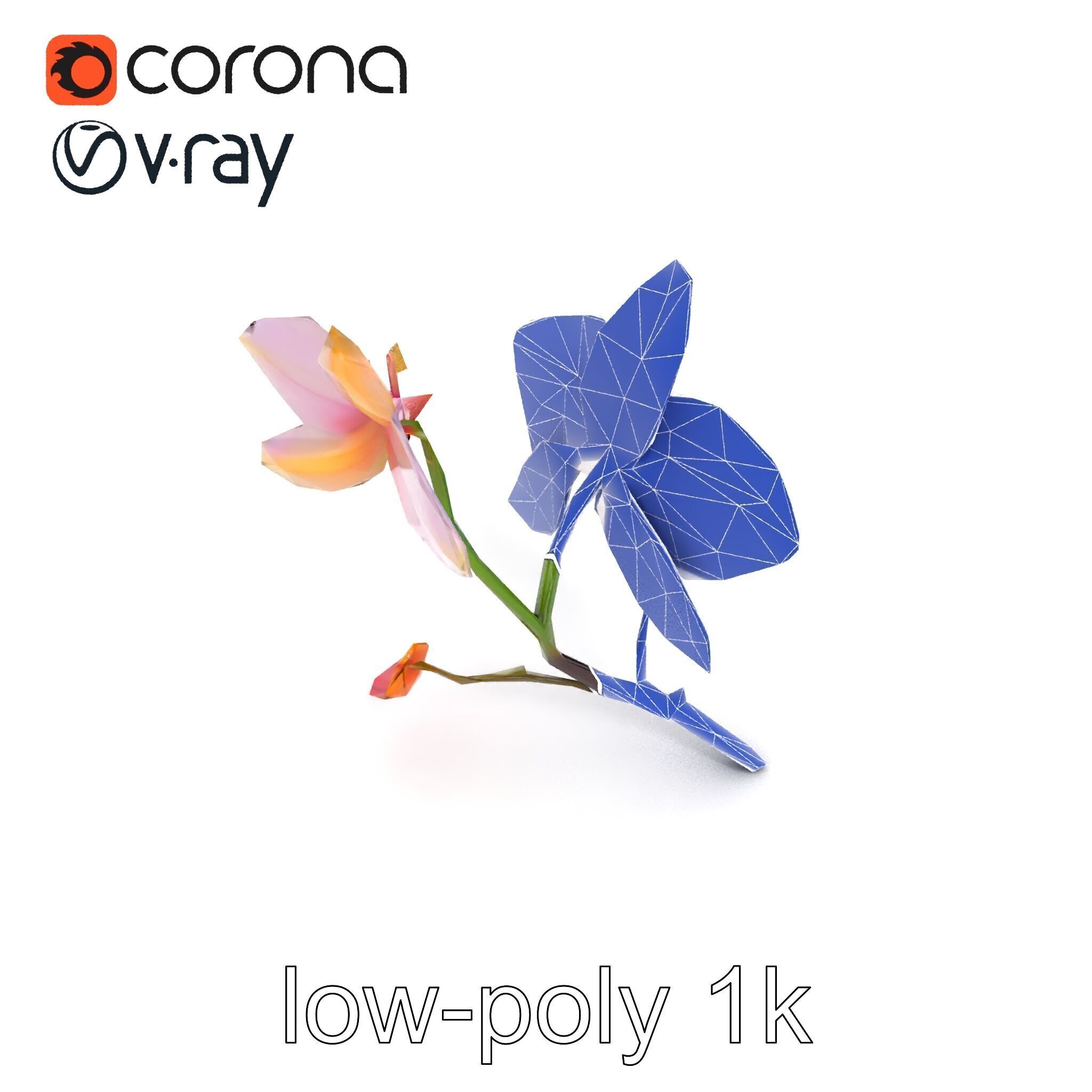 Dendrobium Orchid Floral Diversity model pack Low-poly 3D model_27